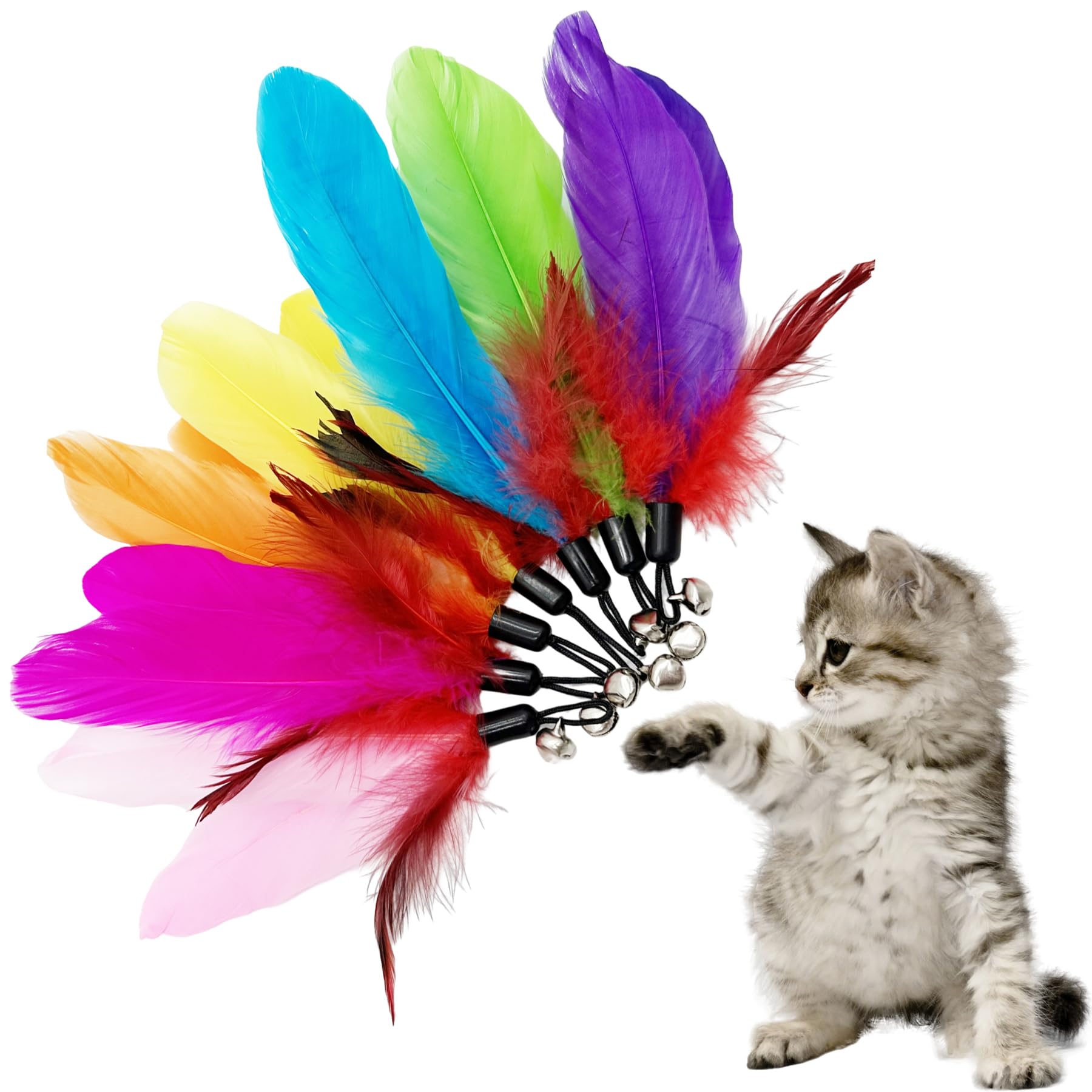 Cateneed Cat Feather Toys Refill, 16 Pieces Cat Wand Replacement Feathers Toy For Indoor Cats