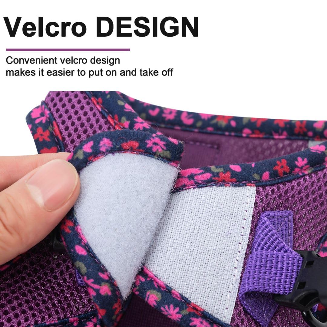 Pina Dog Harness and Leash Set - No Pull, Adjustable, Breathable Mesh Vest, Size S, Purple - Lacework