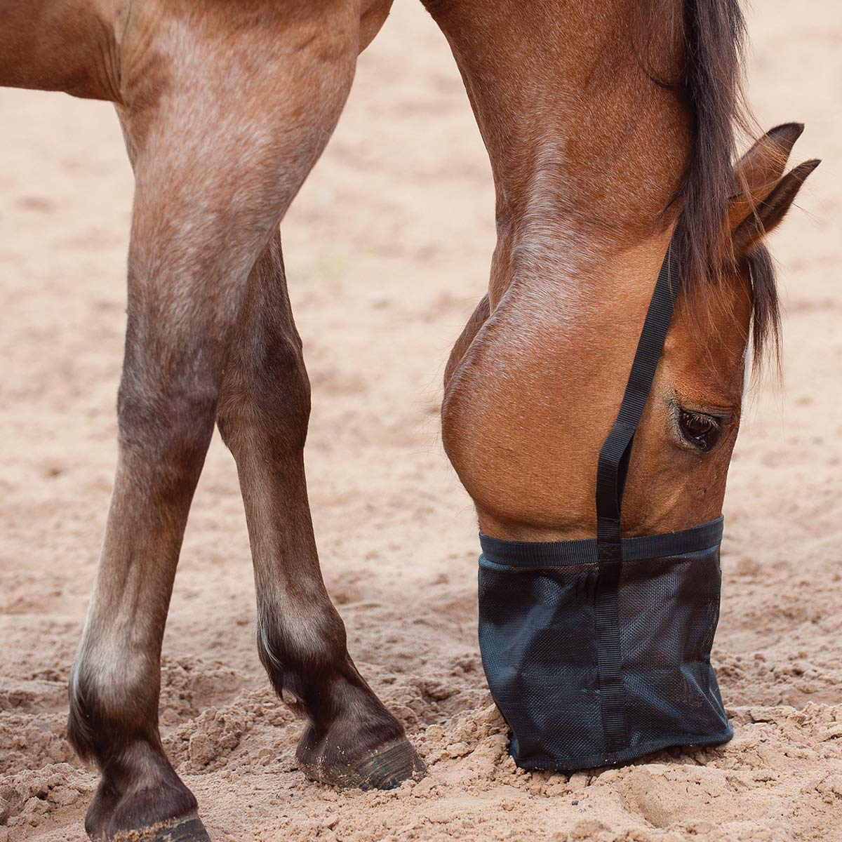 Cashel FRB Horse-Feeding-Supplies, Black