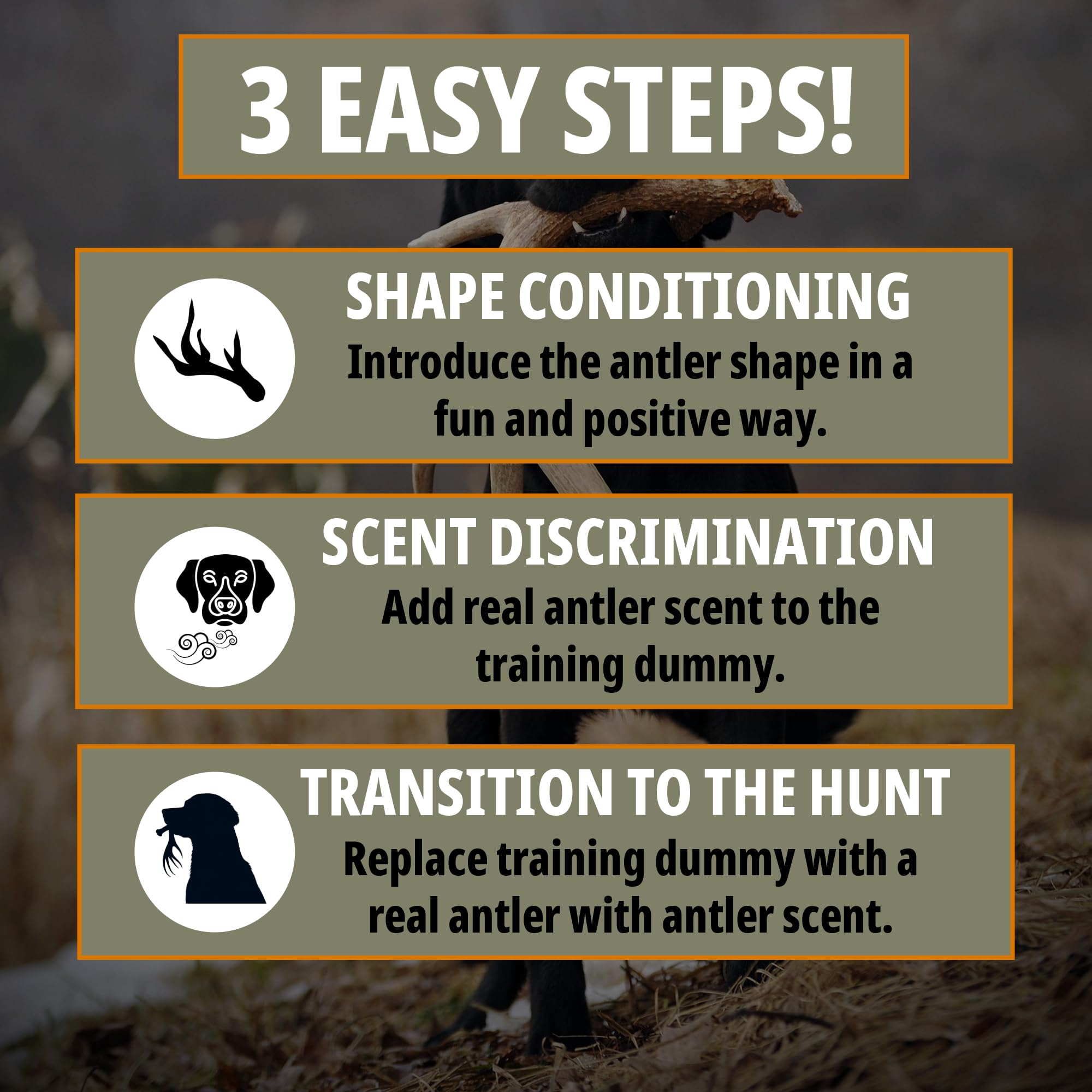 Dogbone Shed Dog Training System | Dog Training Kit | Hunting Dog Accessories | Dog Training Tools | Dog Scent Training Kit | Scent Training For Dogs | Hunting Dog Toys