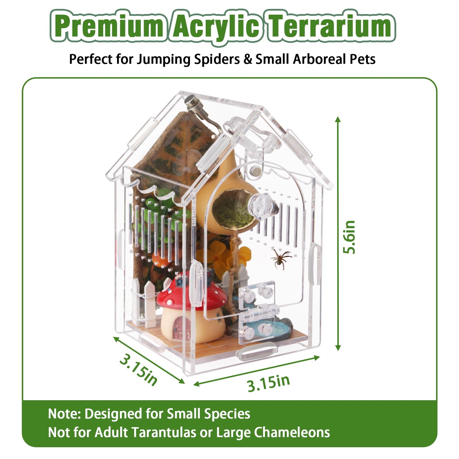 Jumping Spider Enclosure - Internal Dimensions 3.15x3.15x5.6 Acrylic Terrarium Kit for Tarantulas/Mantis/Reptiles with Magnetic