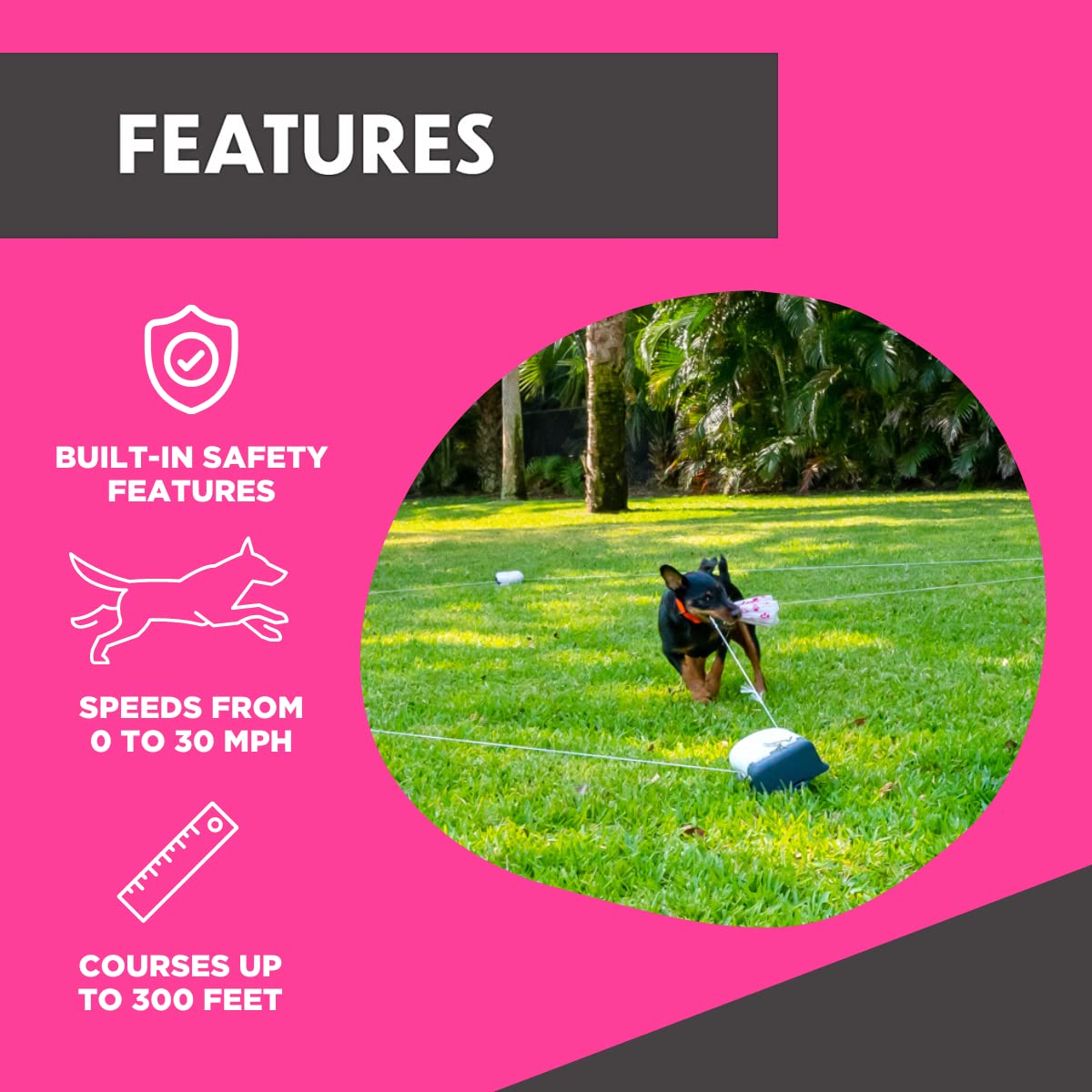 Swiftpaws - Home Original - Chase Toy - For Dogs - Flag Lure Course - Interactive Dog Enrichment Toy - Includes Main Unit, 3 Pul