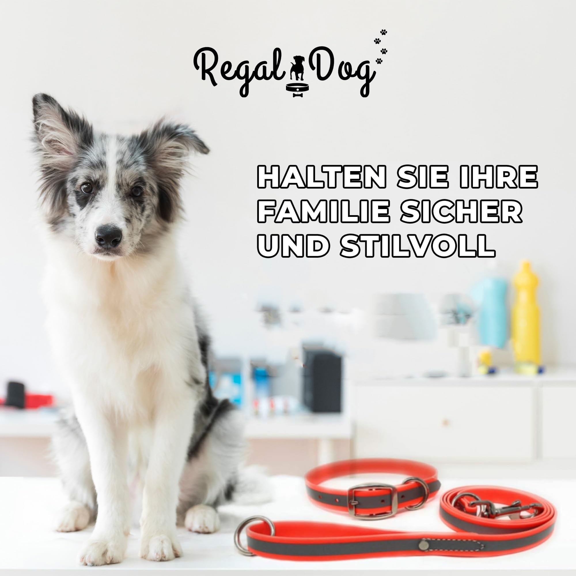 Regal Dog Products Large Orange Reflective Dog Collar And Leash Set - Waterproof Biothane Dog Collar With Heavy Duty Double Buck