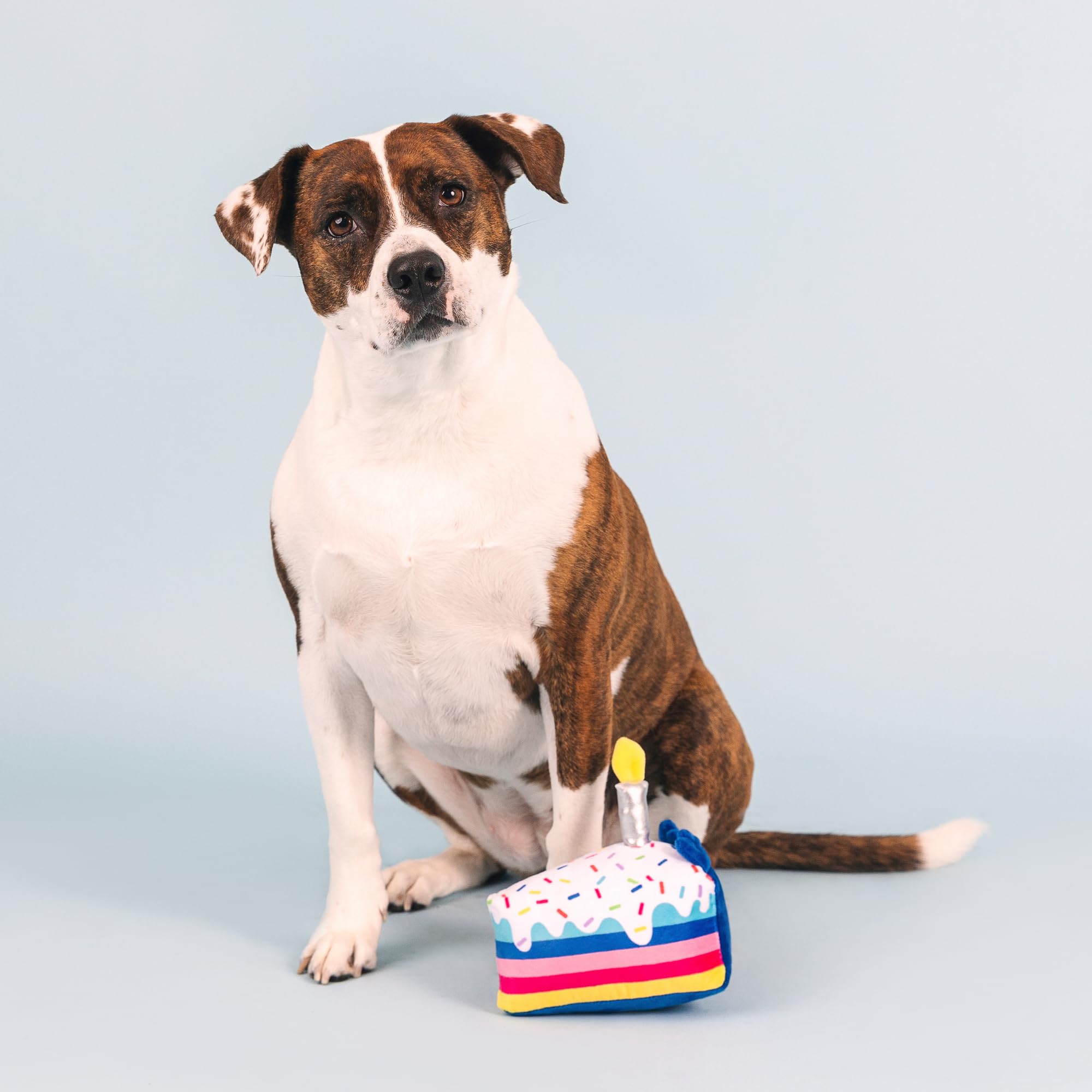 Fringe Studio Plush Dog Toy, Cake It Easy, Pet Shop Collection (314223)