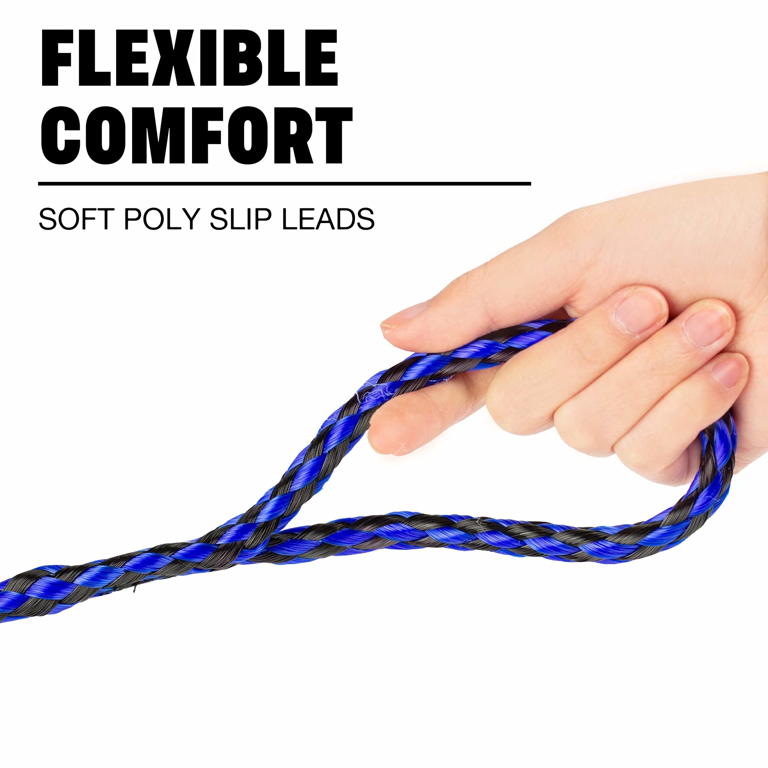Downtown Pet Supply Braided Poly Slip Lead Dog Leash, 96 Pack, 5' Long - Universal Dog Slip Lead With Metal O Ring - Durable For