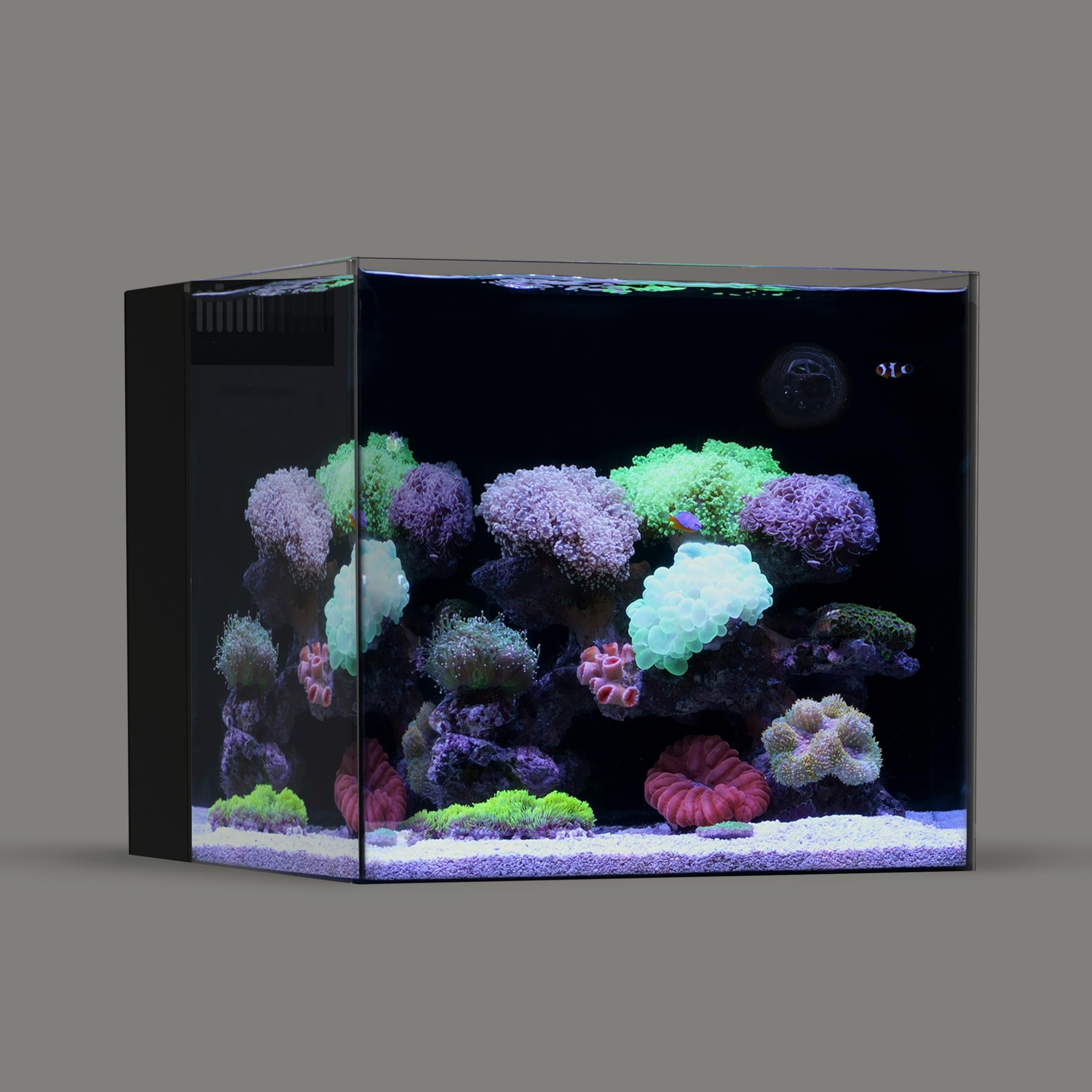 Landen 45P 20 Gallon Ultra Clear All Glass Rimless Low Iron Aquarium Tank With Rear Filtration Chamber(Return Pump Included)For 