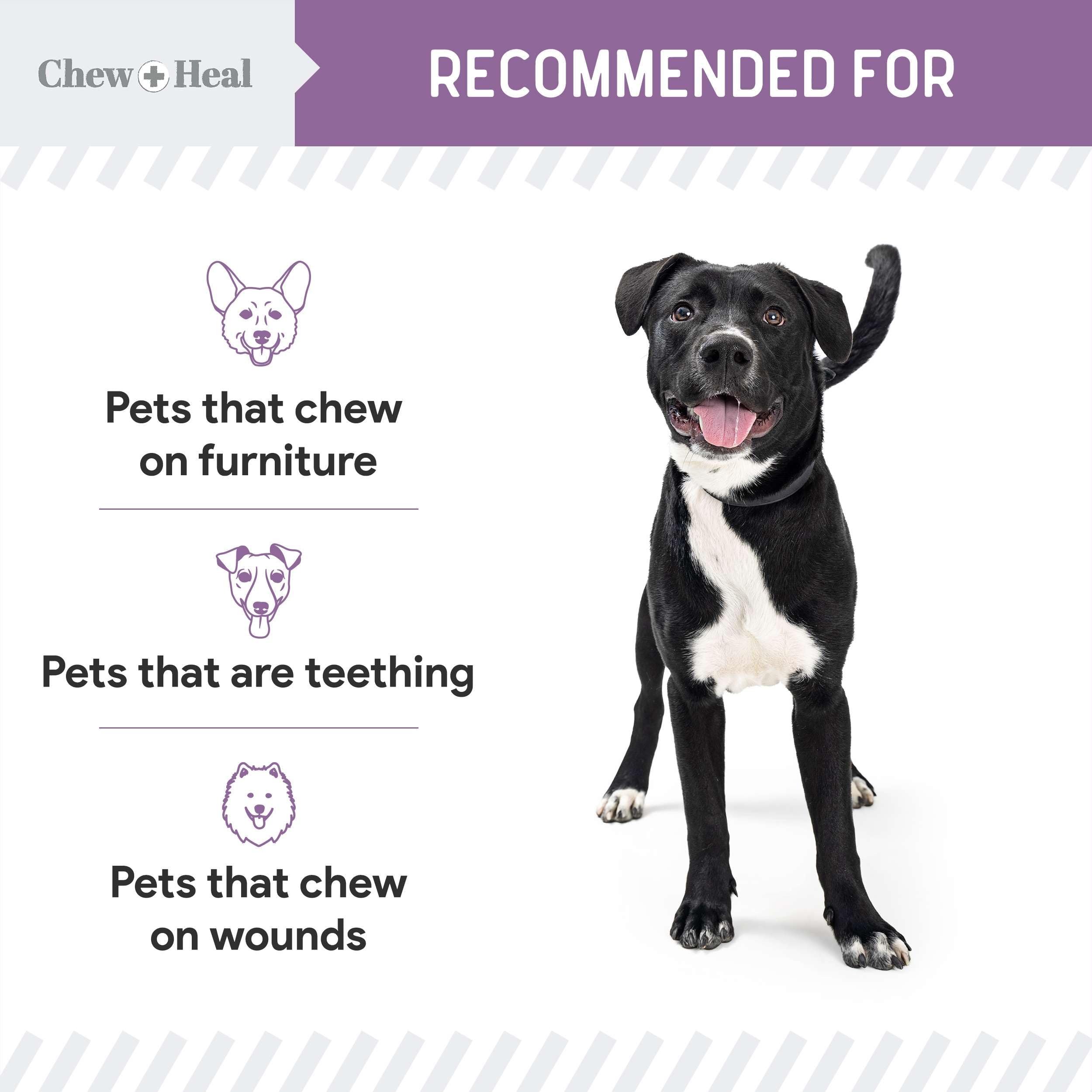 No Chew Spray For Dogs, 8 Oz - No Sting, Alcohol Free Bitter Dog And Cat Deterrent - Anti Chew Spray For Furniture, Hot Spots, A