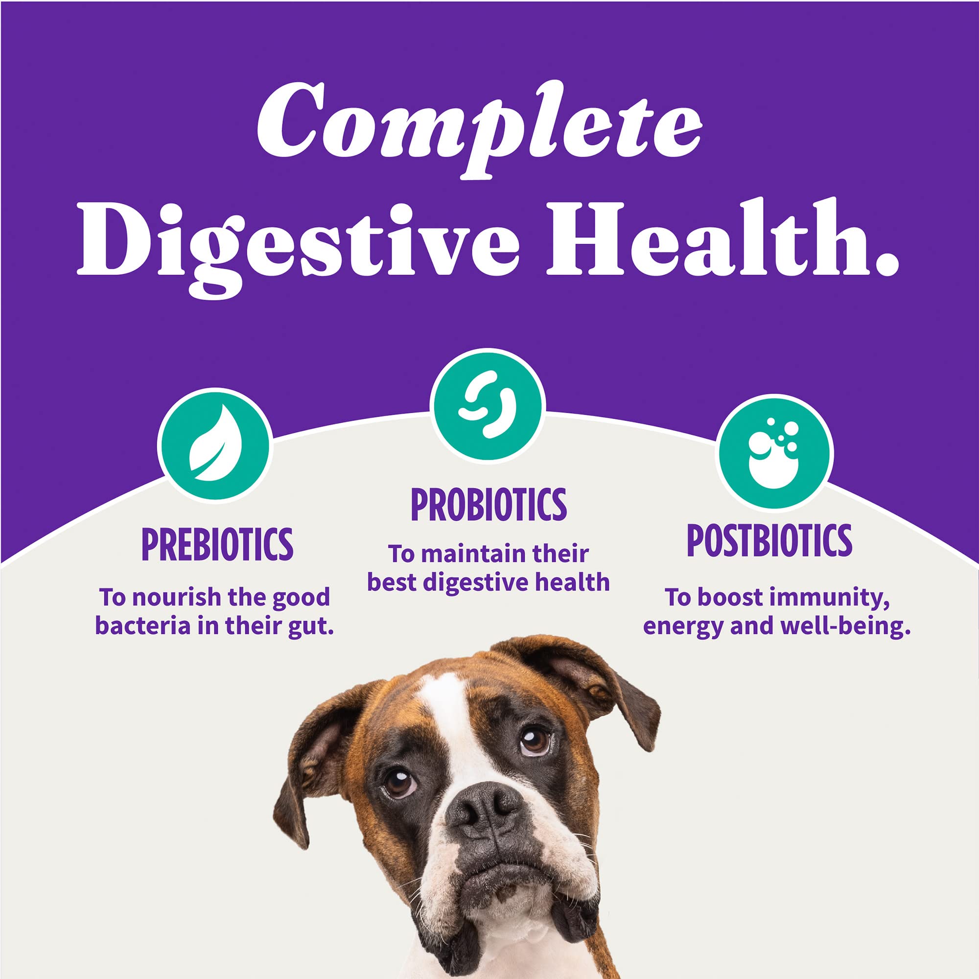 Halo Holistic Vegan Dog Food, Plant-Based Recipe with Kelp, Dry Dog Food, Complete Digestive Health, Kibble for Adult Dogs, 10 l