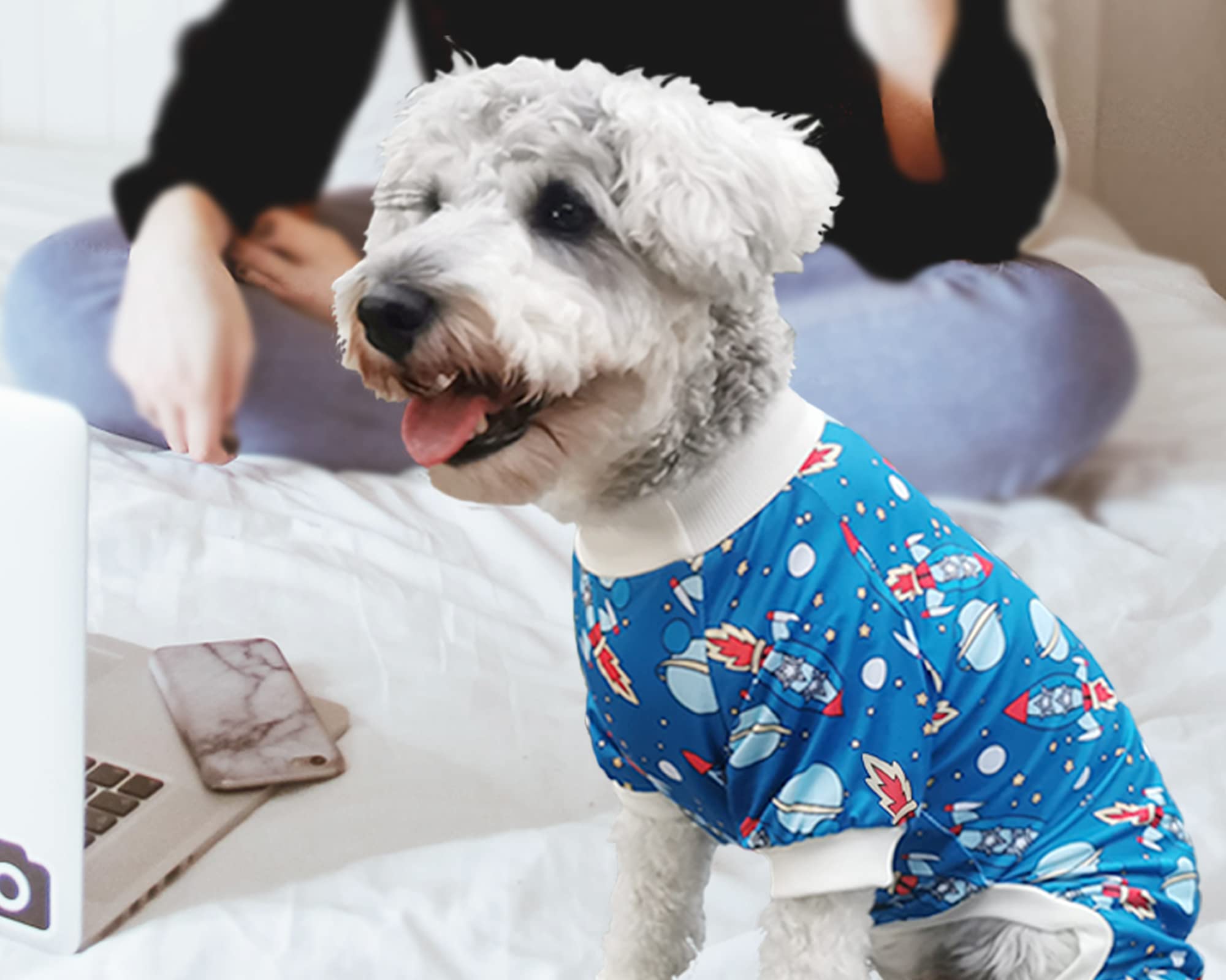 Xpudac Dog Pajamas Clothes For Small Dogs Boy Girl, Dog Pjs Puppy Onesies Outfits Pet Clothes For Dog Cat Christmas Pajamas, 4 Styles(Animal, Small)