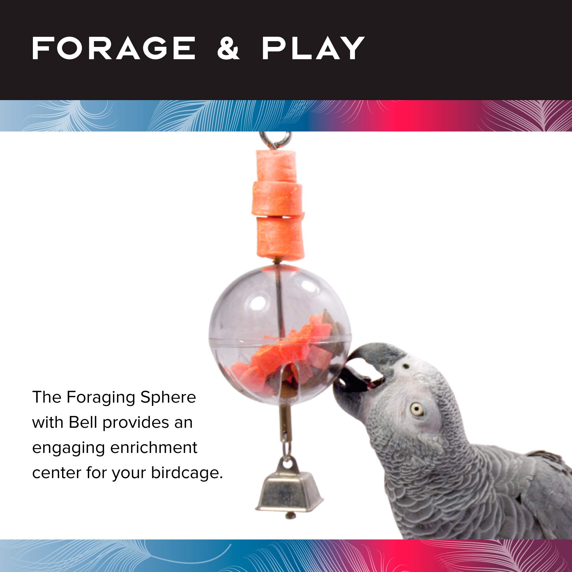 Featherland Paradise | Creative Foraging Systems Hanging Foraging Sphere & Kabob with Stainless Steel Bell, Interactive Bird Tre