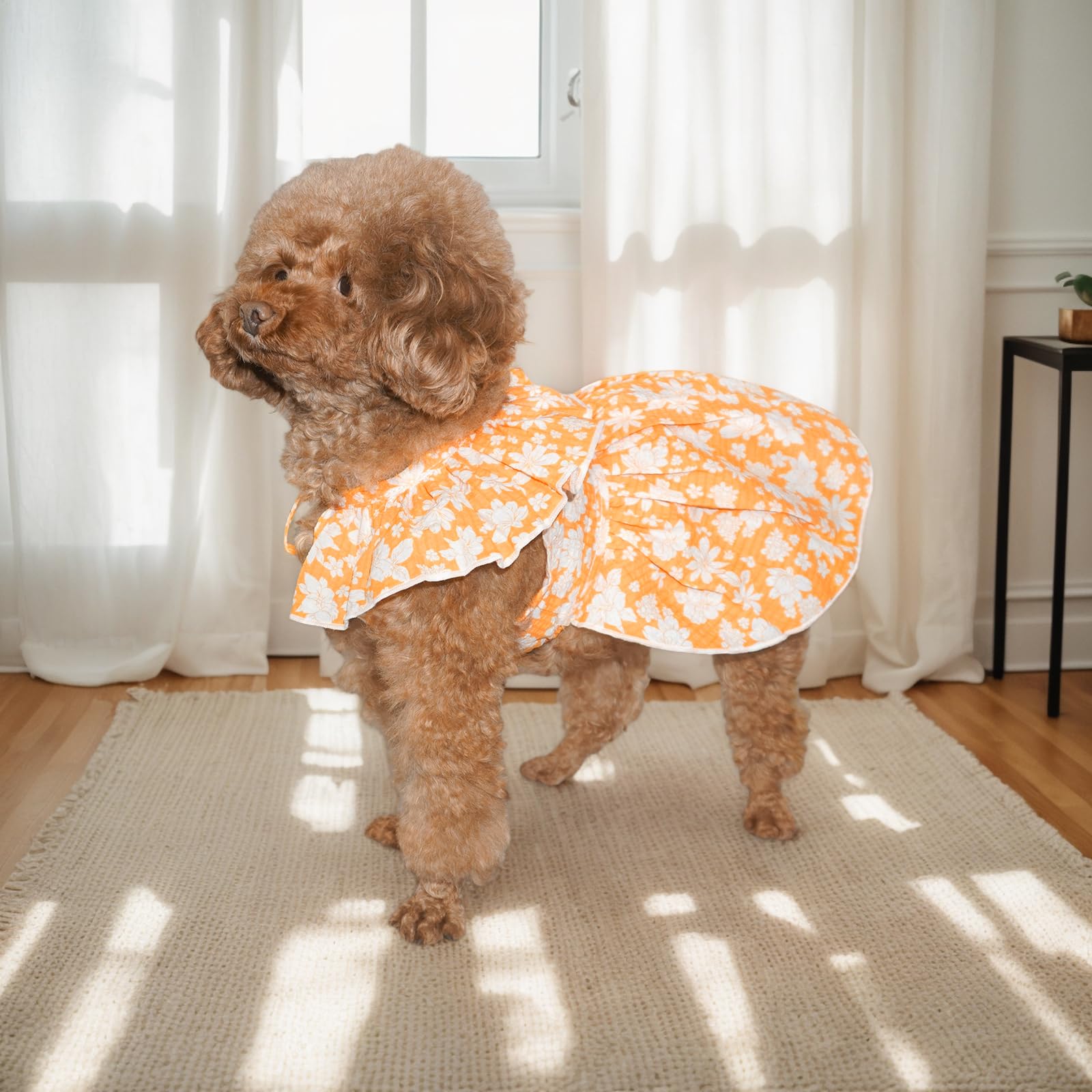 Topkins Dog Dress, Cute Dog Princess Dress With Lace-Up, Pretty Prints Pet Dress Clothes For Small Dog (Orange, S)