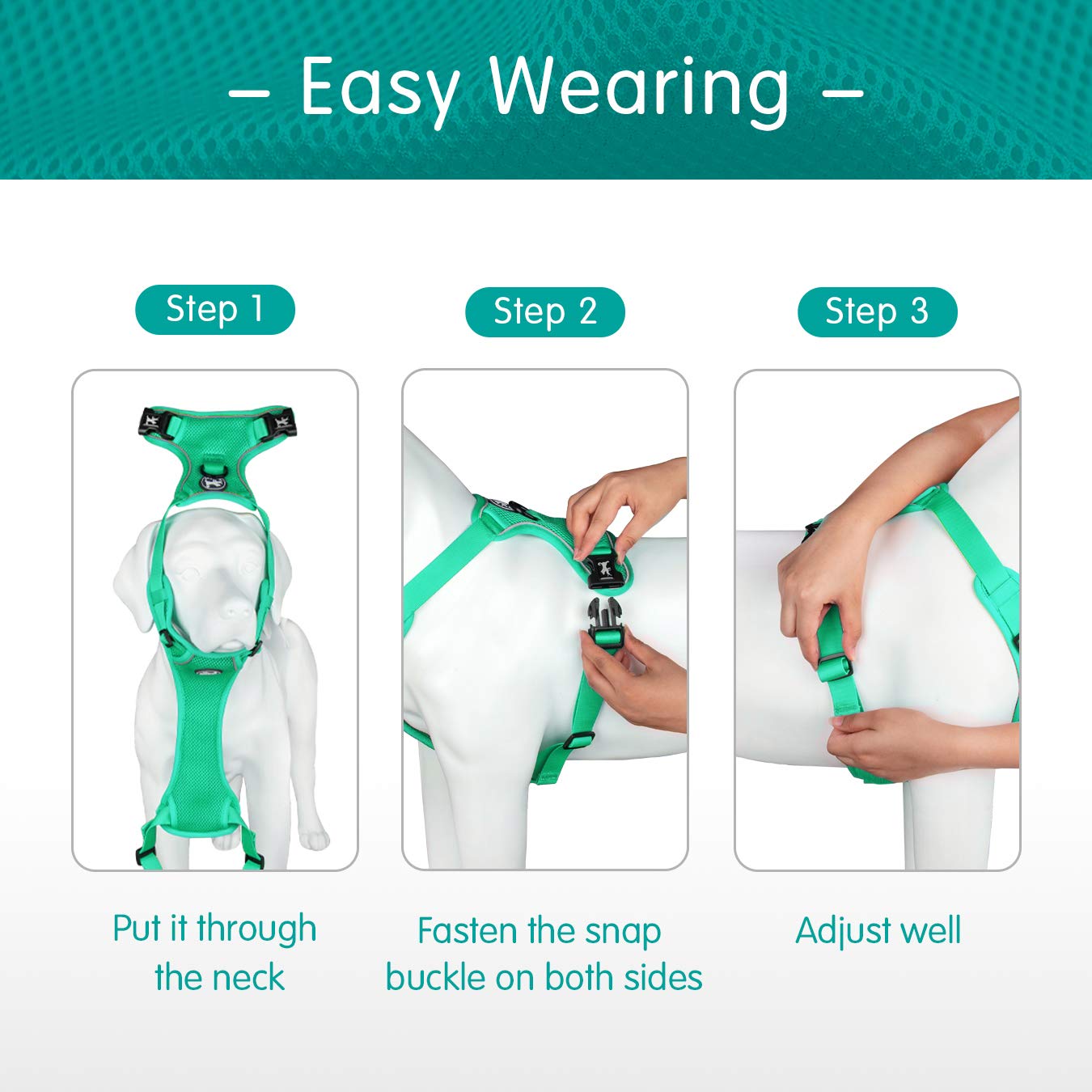 Poypet Reflective Soft Breathable Mesh Dog Harness Choke-Free Double Padded Vest With Adjustable Neck And Chest(Mint Green,L)