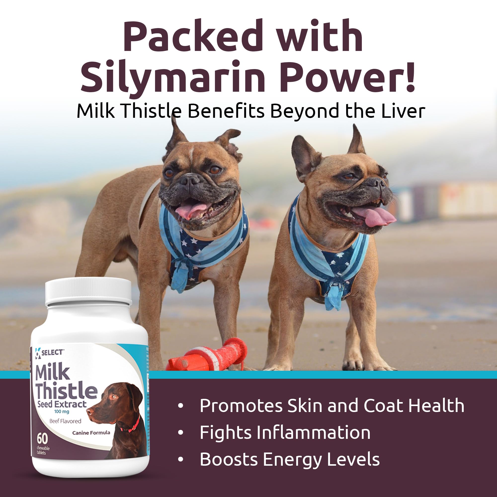 K9 Select Milk Thistle for Dogs - Liver Health Supplement, 100mg, 60 Beef Flavored Tablets