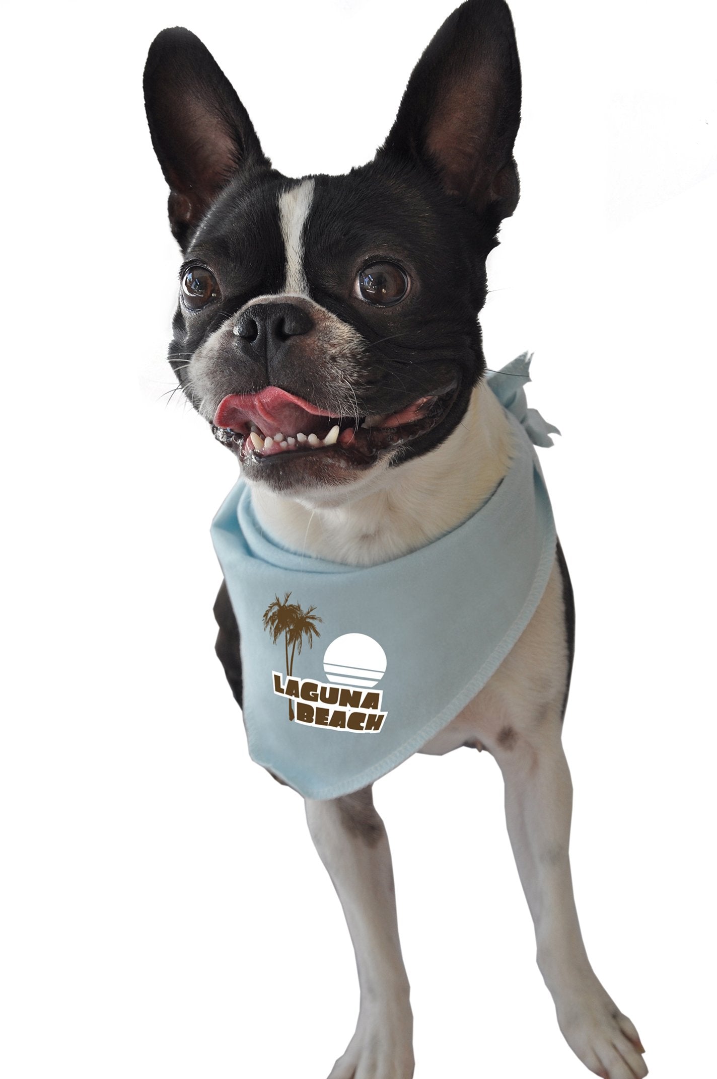 Ruff Ruff And Meow Doggie Bandana, Laguna Beach, Blue, Small