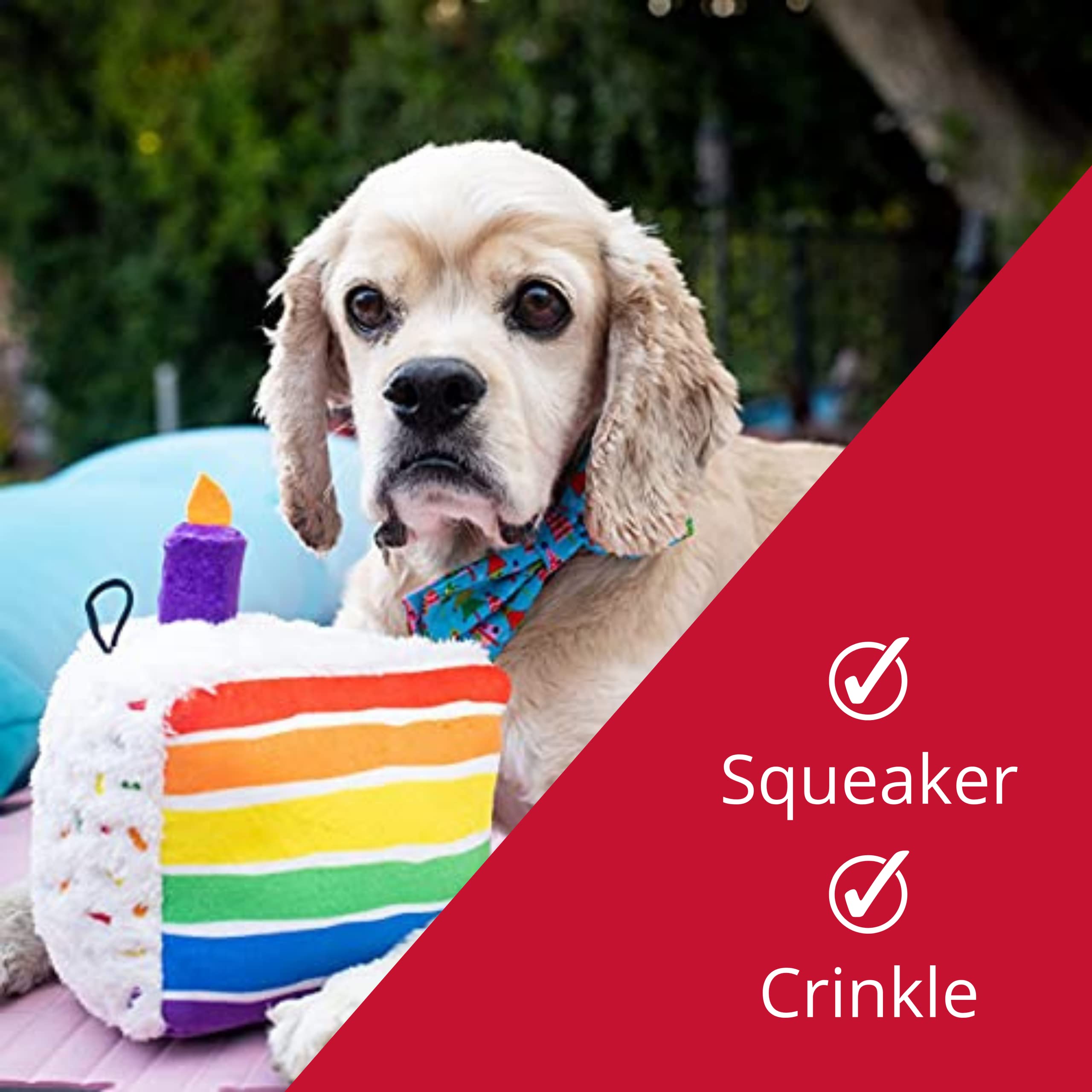 Huxley & Kent For Dogs | Funfetti Cake (Small) | Birthday Power Plush Dog Toy With Squeaker
