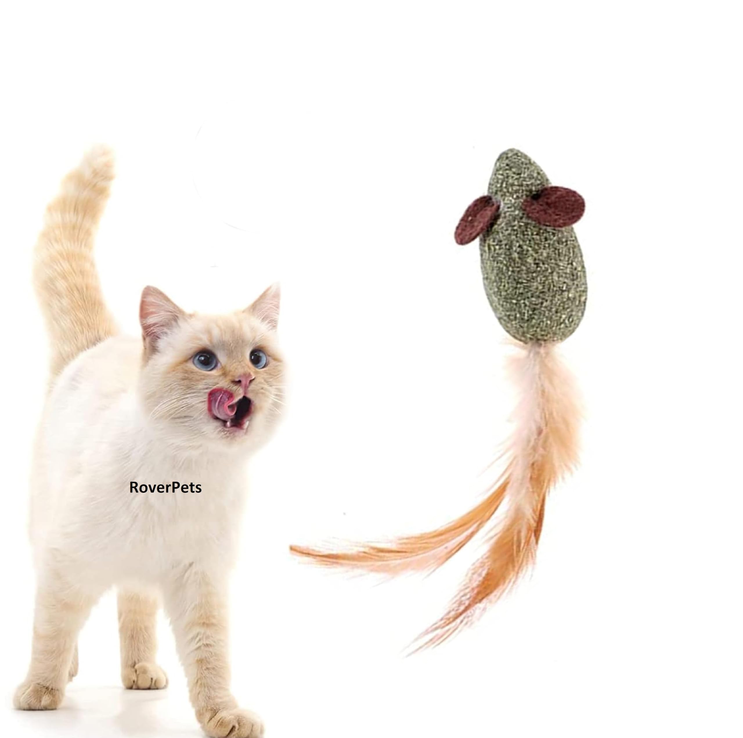 Roverpets Cat Catnip | Natural Attractive Mint Fragrance | Kitten & Cats Playing Toy | Feather Rat | Fun Engaging Play | Interac