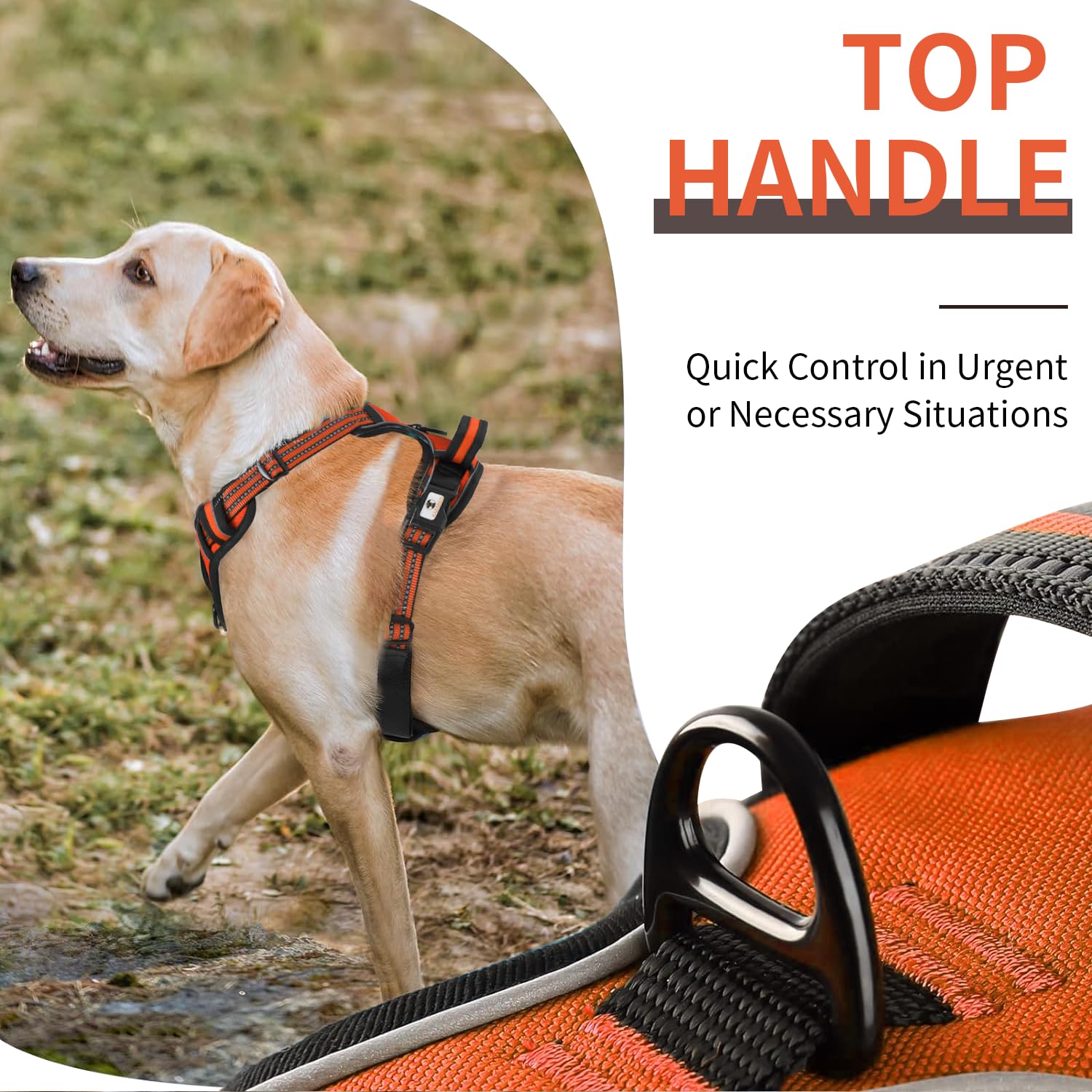 kazazoo Dog Harness, No-Pull Pet Breathable Harness, Adjustable Soft Padded Dog Vest with 2 Leash Clips, Reflective No-Choke Pet