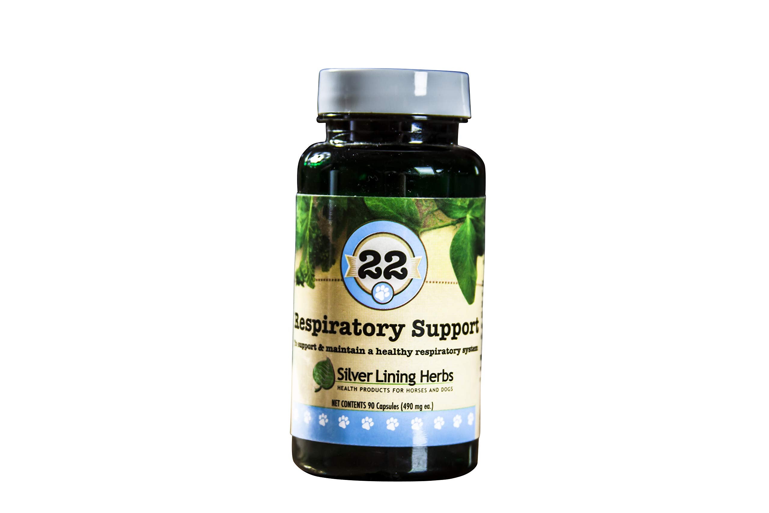 #22 RESPIRATORY SUPPORT