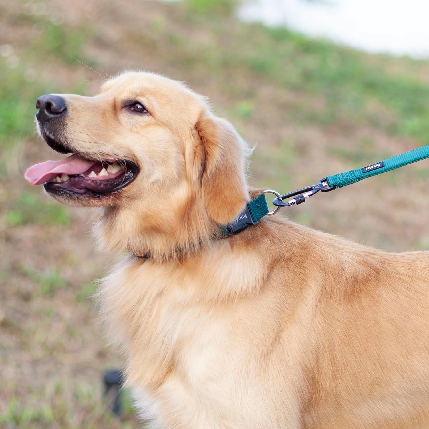 Hyhug Pets Solid Color Classic Regular Heavy Duty Basic Collar For Medium Dogs Daily Use, Unique Design Adjustment Triglide Slid