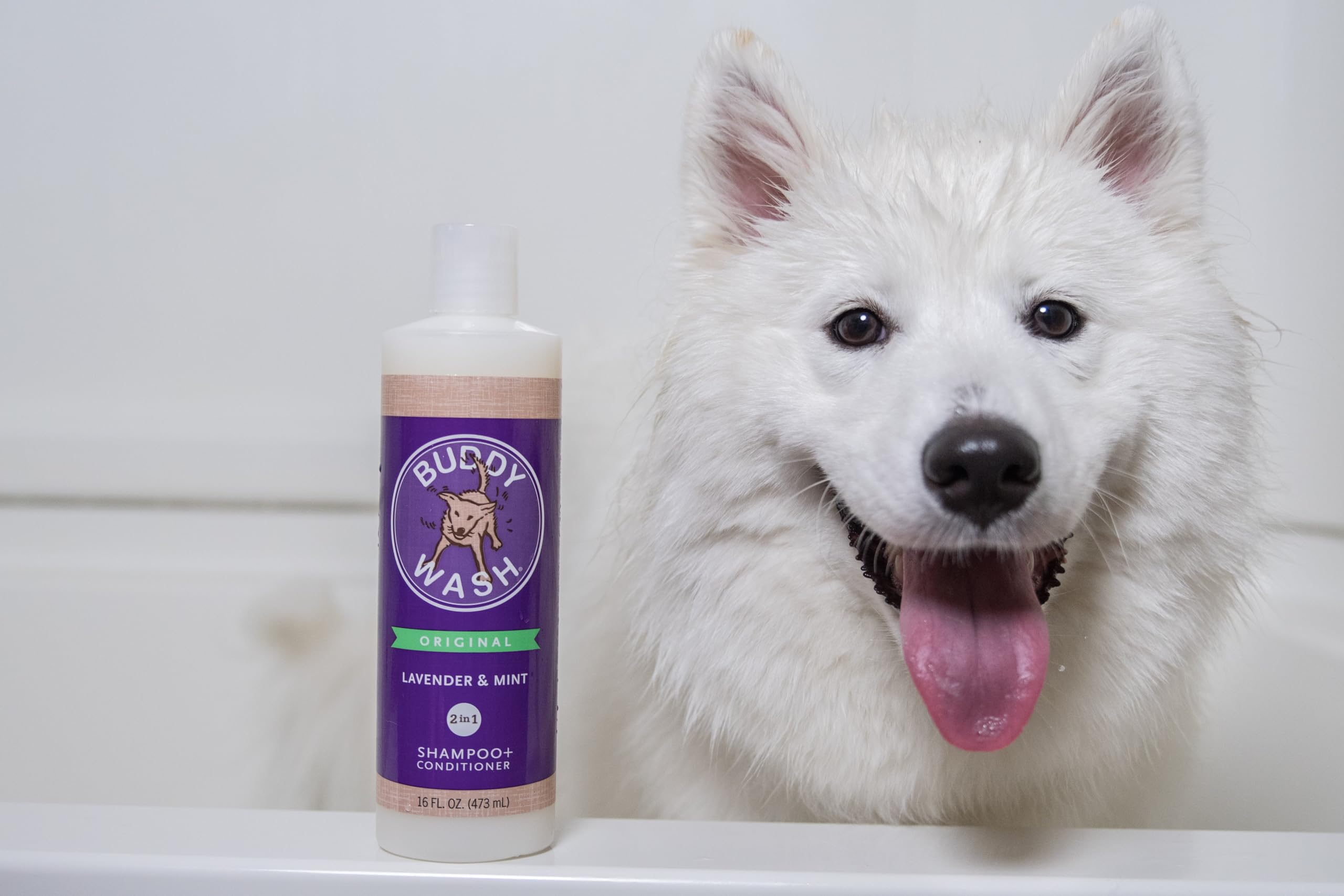 Buddy Rinse Conditioner for Dog Grooming Dog, Lavender & Mint, 16 oz. Bottle