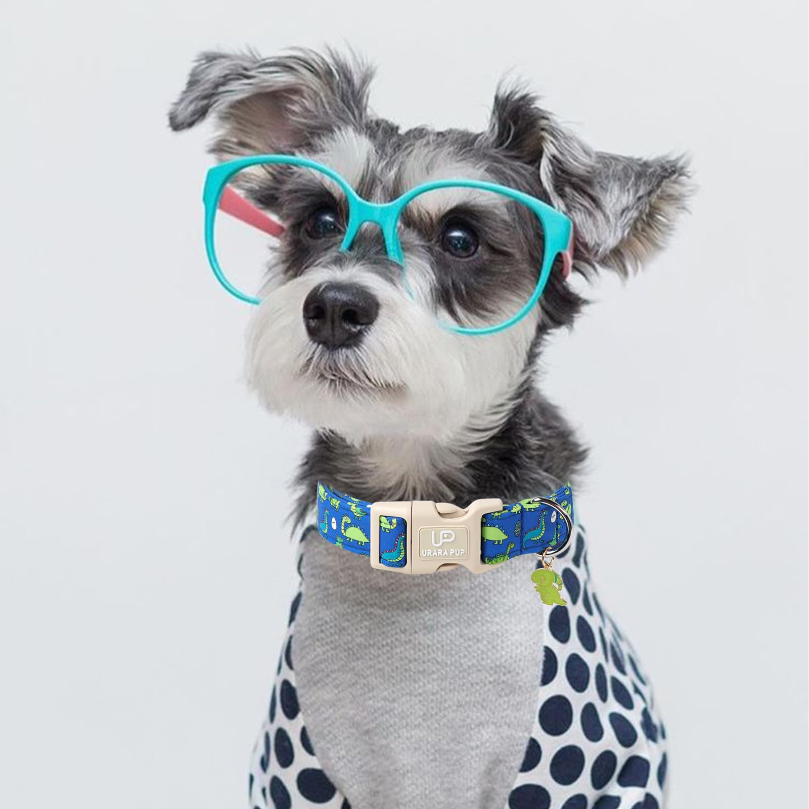 Up Urara Pup Summer Dog Collar-Dinosaur Dog Collars With Dino Eggs-Blue Summer Pet Dollar-Soft, Adjustable & Stylish For Small/M