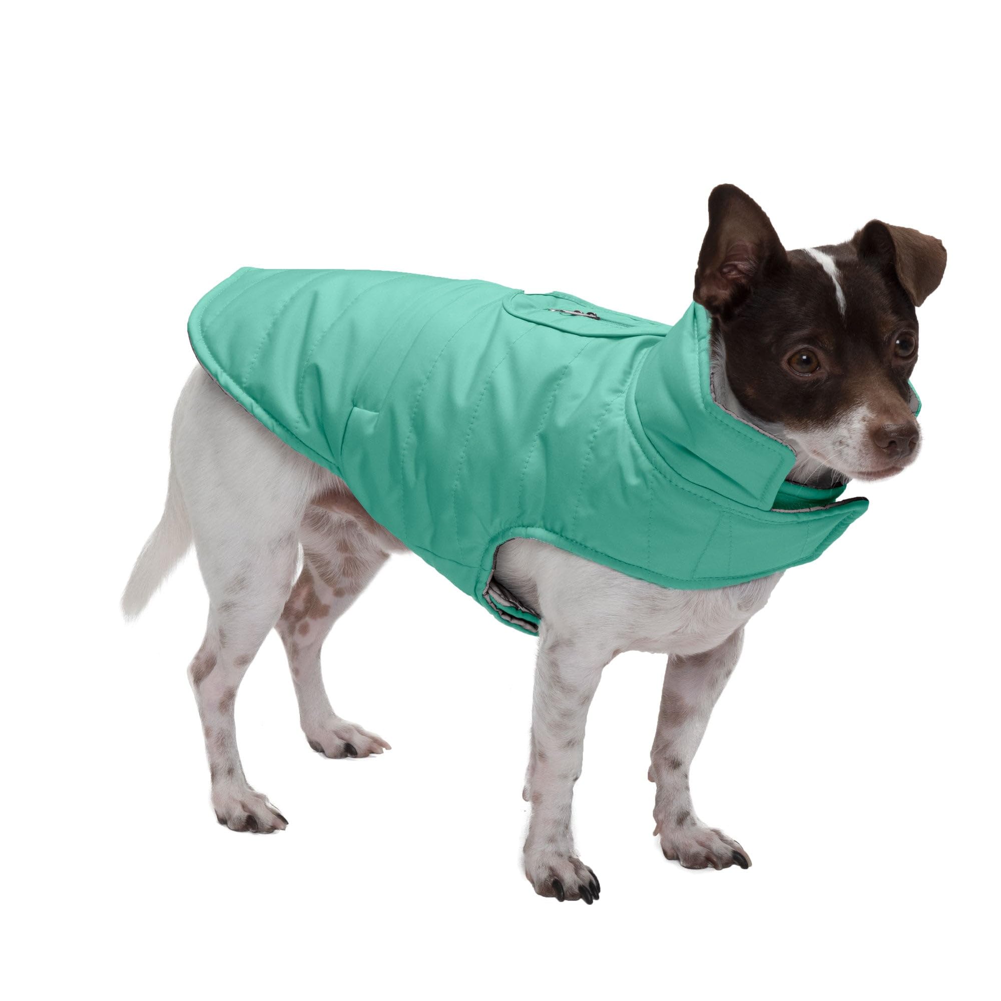Furhaven Water-Repellent & Reversible XS Dog Coat, Washable & Reflective w/ Leash Access, Pocket, & Carry-On Purse - Puffer Dog 