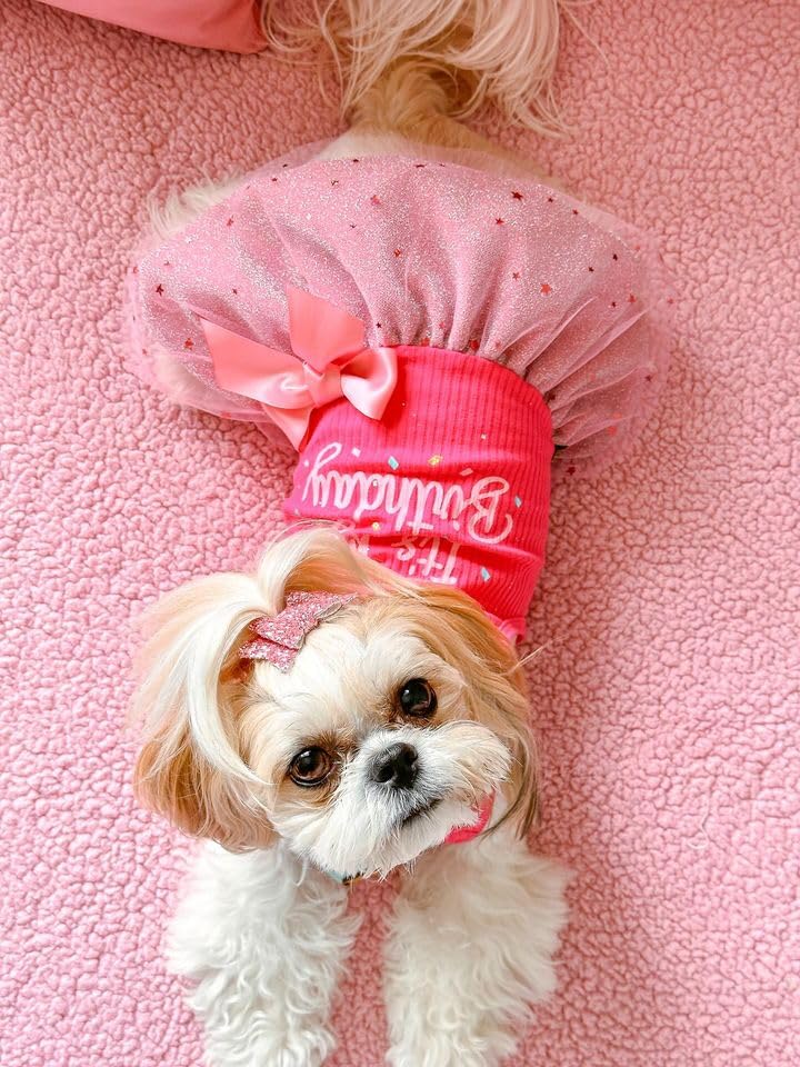 Fitwarm It'S My Birthday Dress With Bowknot For Small Dogs, Funny Clothes For Female Pets, Pink, Xs