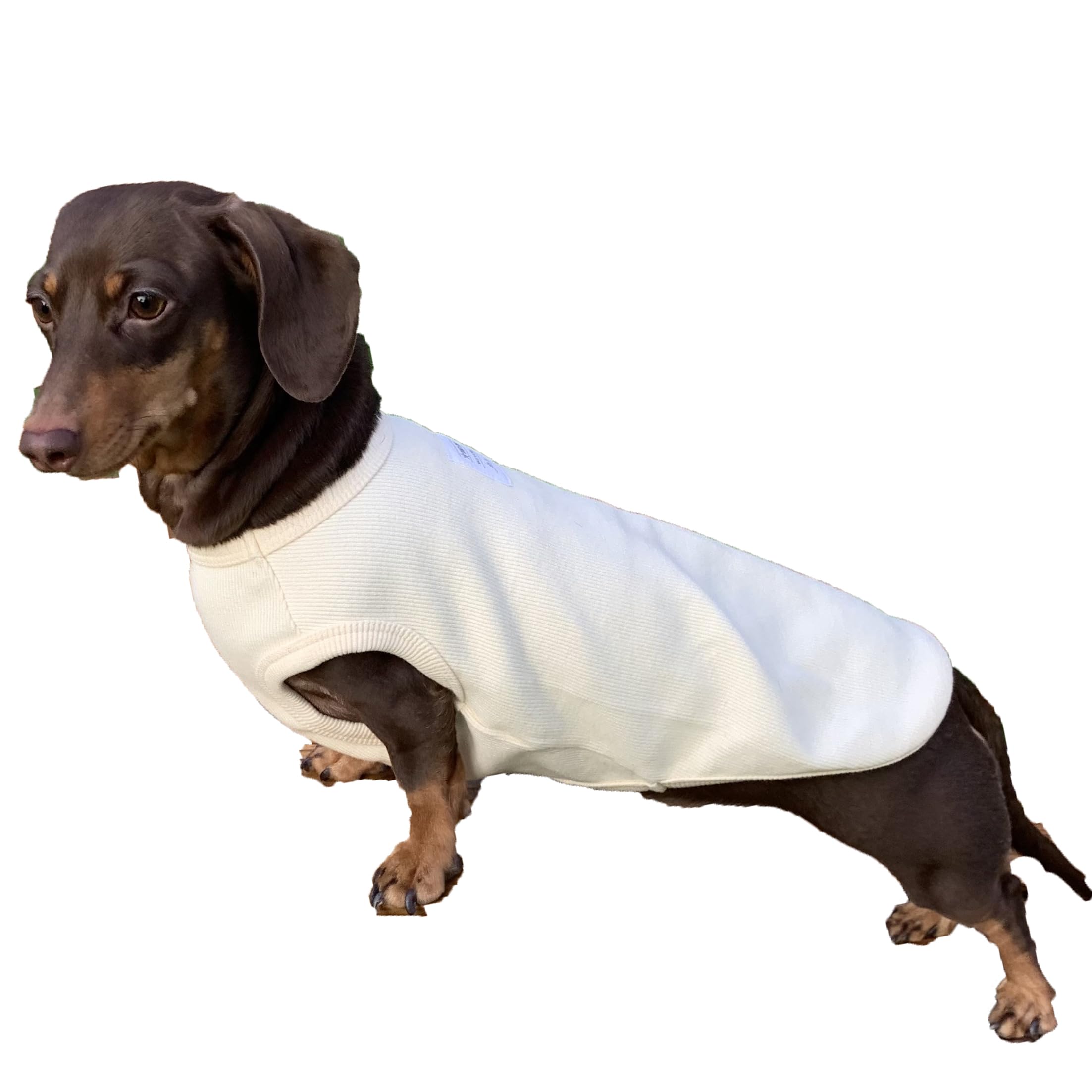D Doggy Star Dachshund Clothes For Dogs Mini And Adults T Shirts (Xs,Solid Ivory)