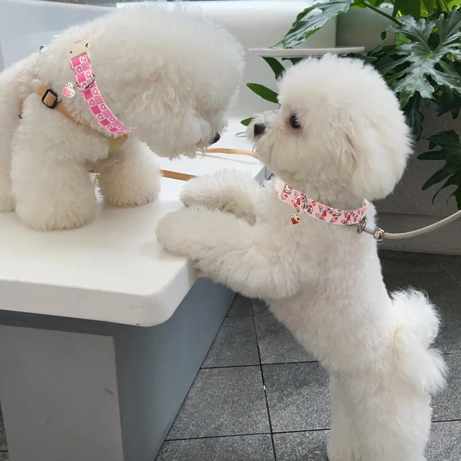 Maca Bates Valentine Day Dog Collar Love Letter Red Sweet Heart Valentines Dogs Collars Durable Soft Adjustable Collor Valentine