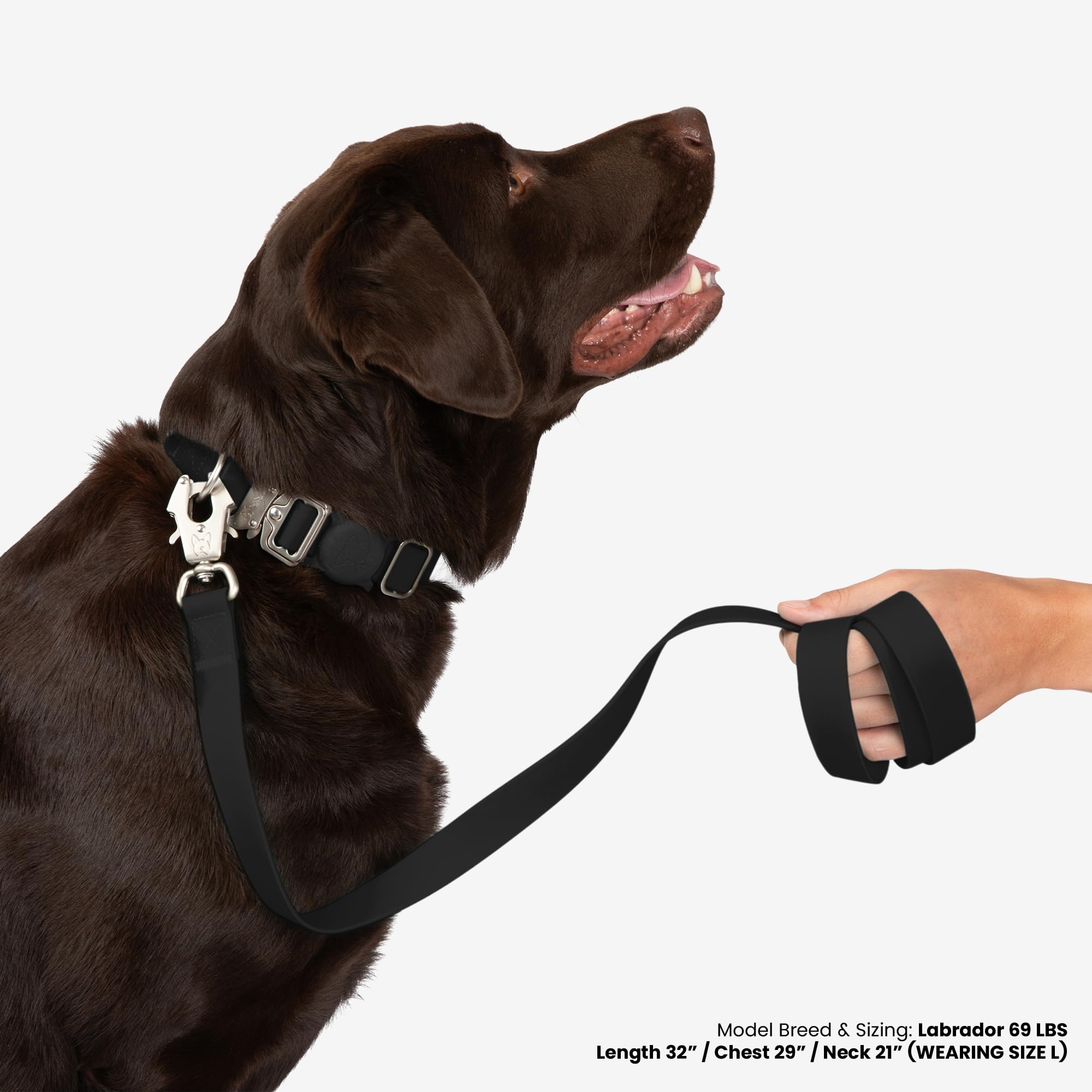 Nandog The Signature Collection Waterproof Poly-Flex Sport Dog Collar In Small, Black - Durable & Adjustable - Secure Double Lat