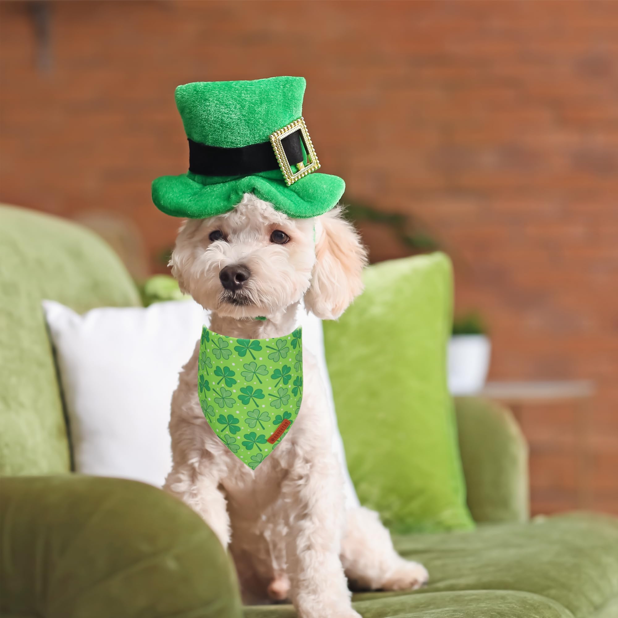 ADOGGYGO St. Patrick 's Day Dog Bandana, Green Shamrock Pet Scarf, Adjustable Fit Saint Patrick Bandanas for Small Dogs (Small)