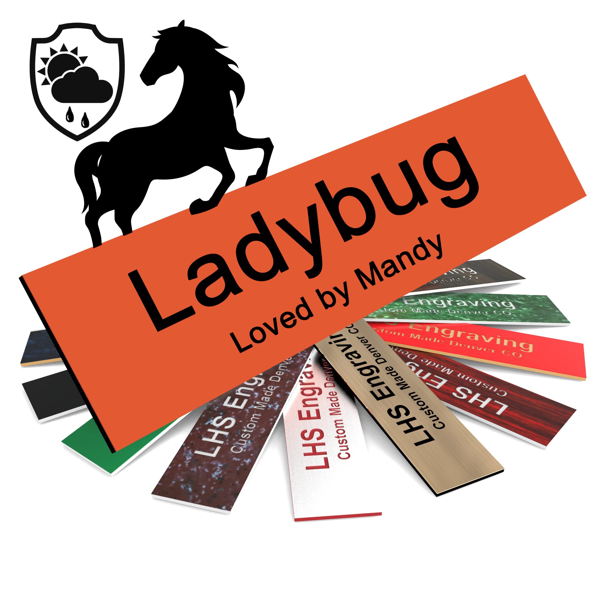 Lhs | Horse Stall Name Plate, 2X10 Personalized Stall Signs, Uv Protected, All Weather Adhesive, Hanging, Mounting Or Other, Ora