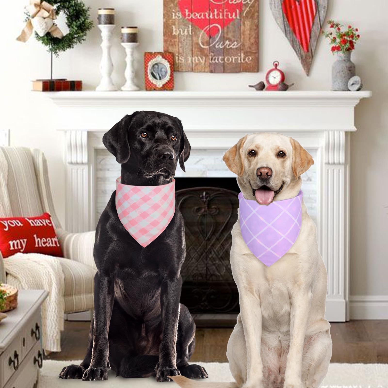 Ququle Spring Dog Bandana Girl Small 2Pcs, Pink Purple Daisy Scarf, Durable Triangle Reversible Bibs Handkerchief For Puppy Pet