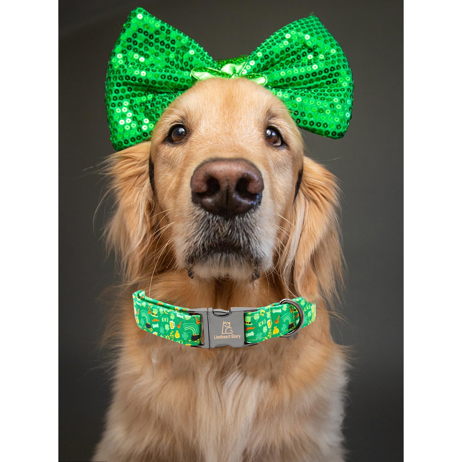 Lionheart Glory Dog Collar, Cotton, Lucky Clover & Beer, Adjustable, Xs-Xl, Handmade Bow, For Small Dogs