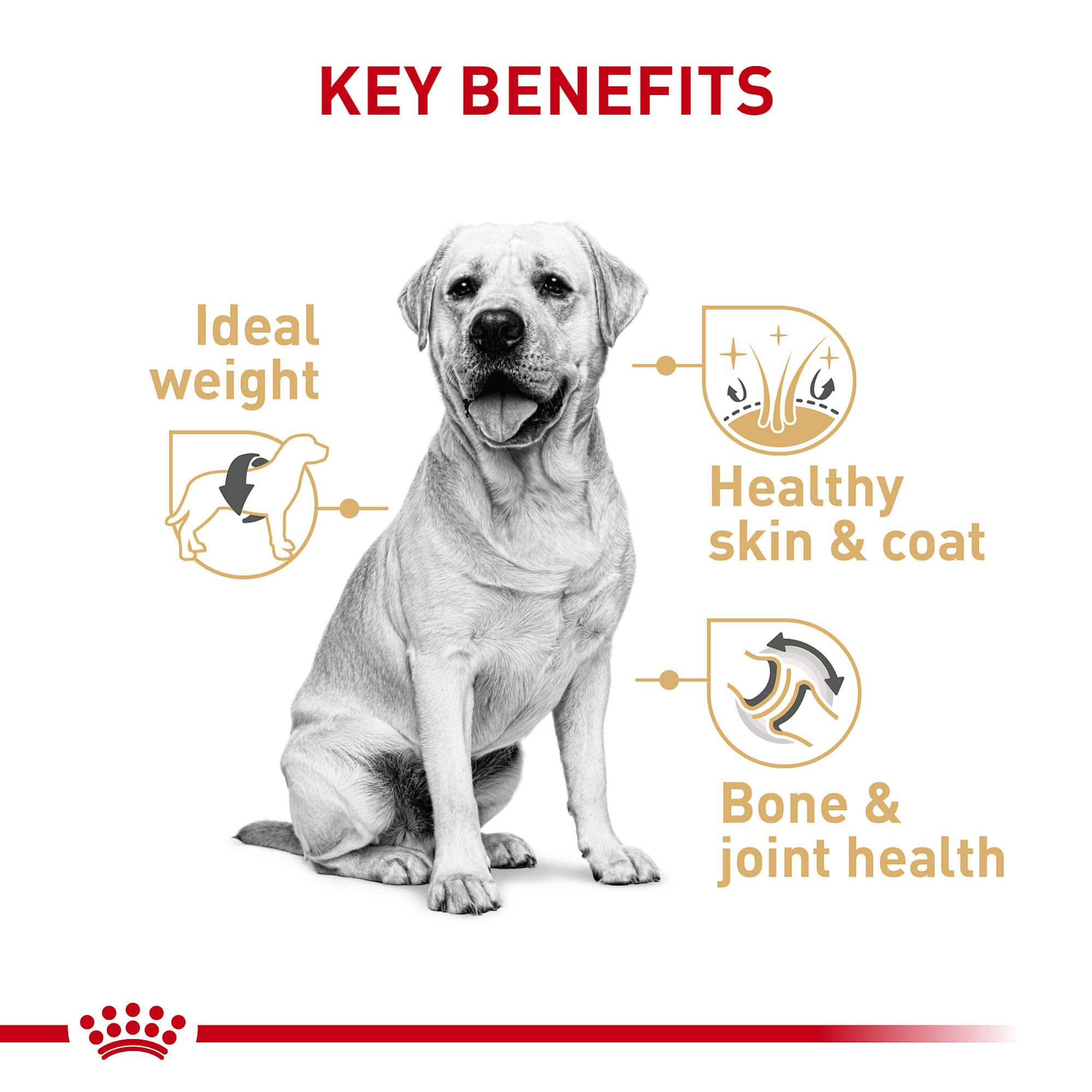 Royal Canin Labrador Retriever Adult Dry Dog Food, 30 lb bag