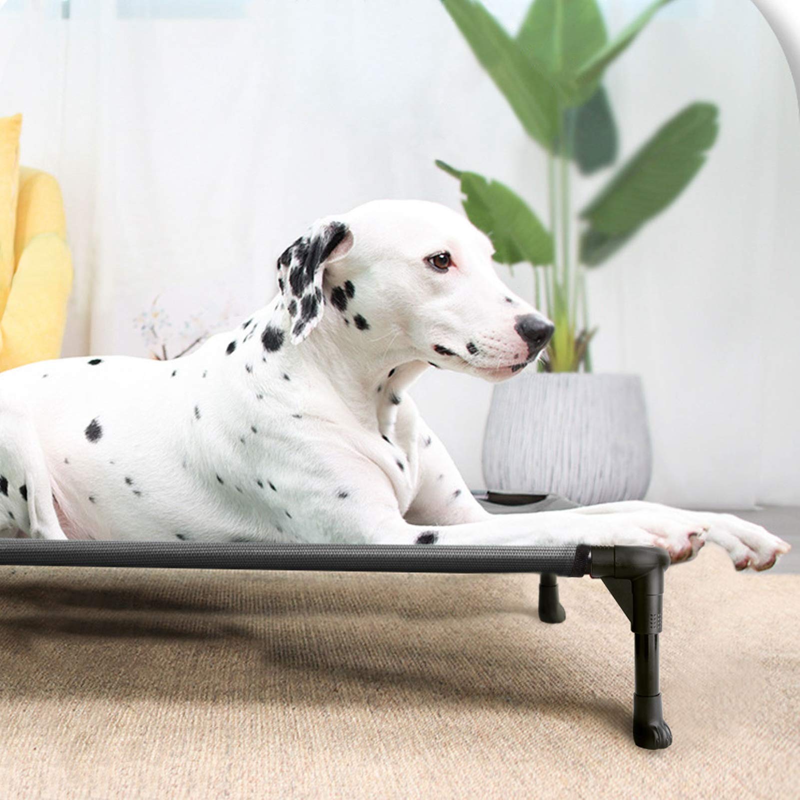 Veehoo Cooling Elevated Dog Bed, Portable Raised Pet Cot With Washable & Breathable Mesh, No-Slip Feet Durable Dog Cots Bed For Indoor & Outdoor Use, Medium, Cwc1803-M