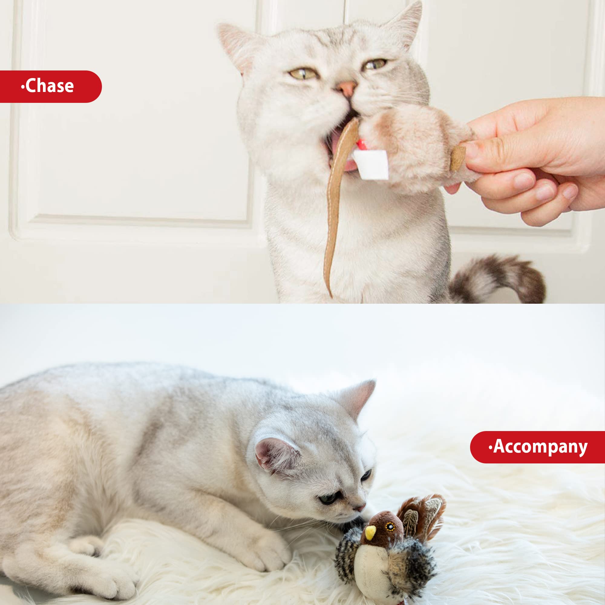 Gigwi Chirp Cat Toy Set - Interactive Motion Activated Squeaky Toy for Indoor Cats - Bird+Mouse, Model G10053