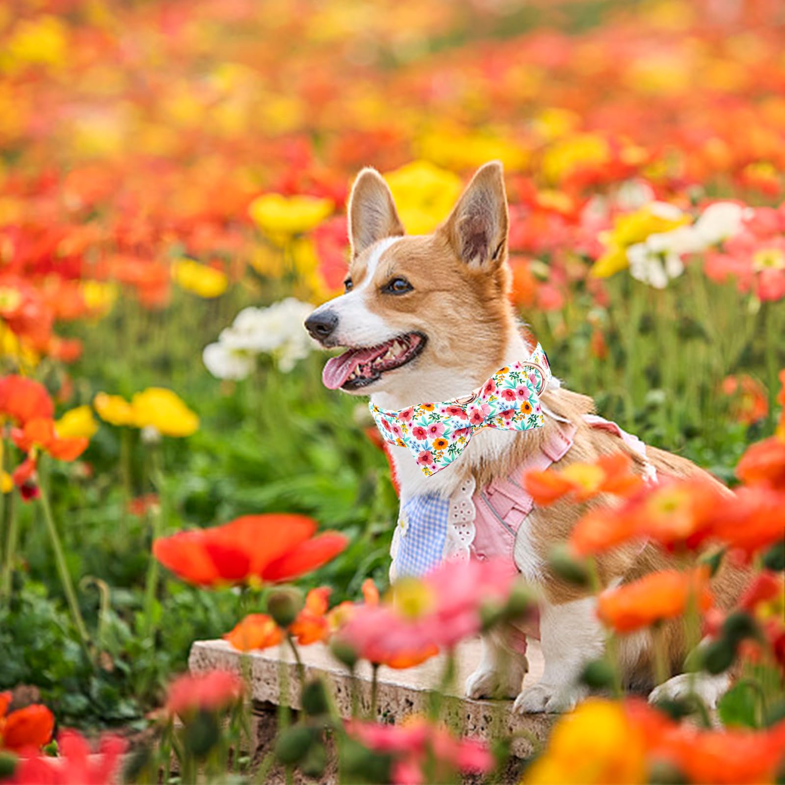 Elegant Little Tail Dog Collar- Cute Floral Dog Collars With Bow For Small Dogs, Female Adjustable Cotton Summer Pet Bow Holiday