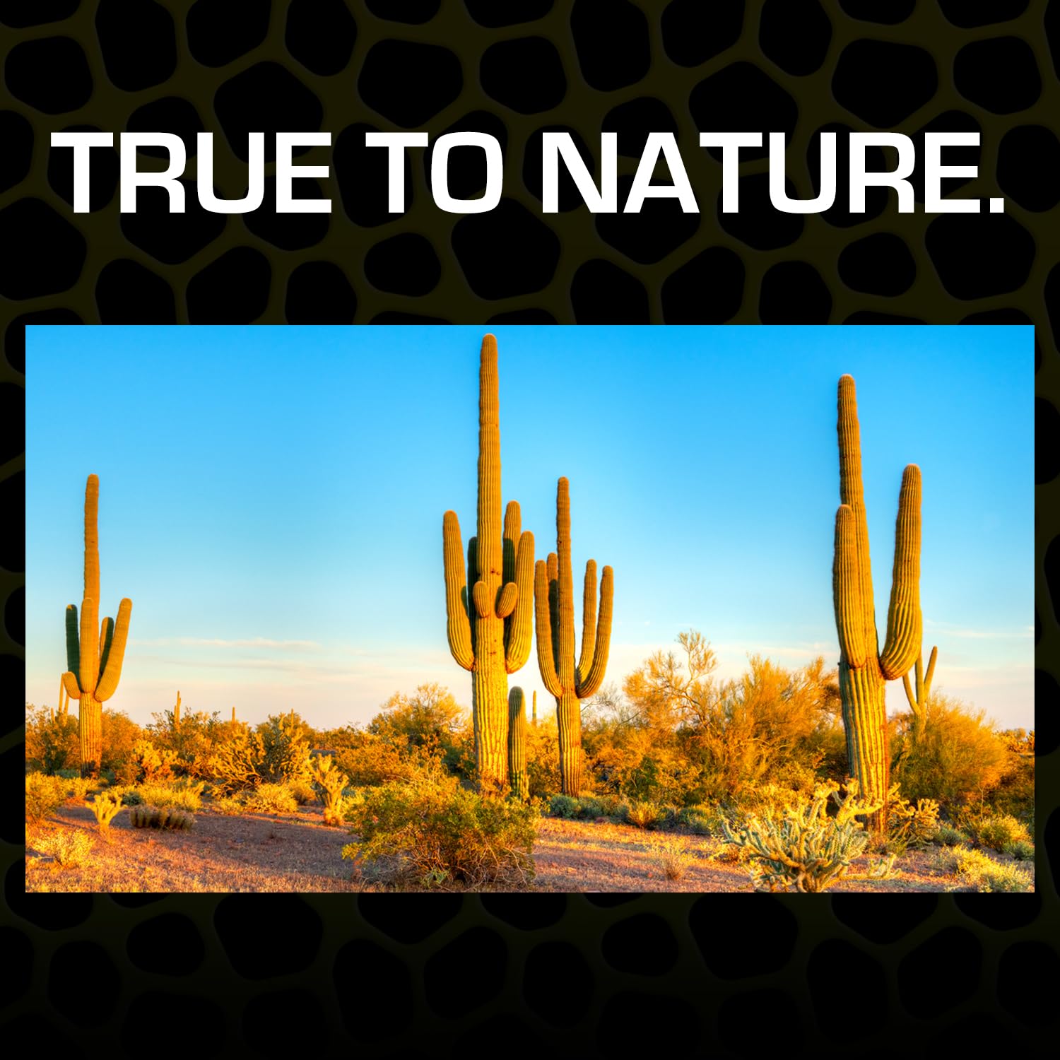 Exo Terra Desert Sand, 10-Pound, Yellow