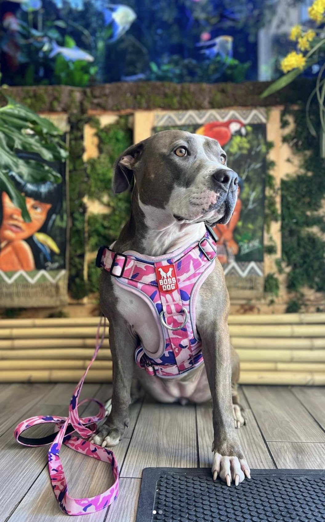 Boss Dog Tactical Harness, Pink Camo, X-Large