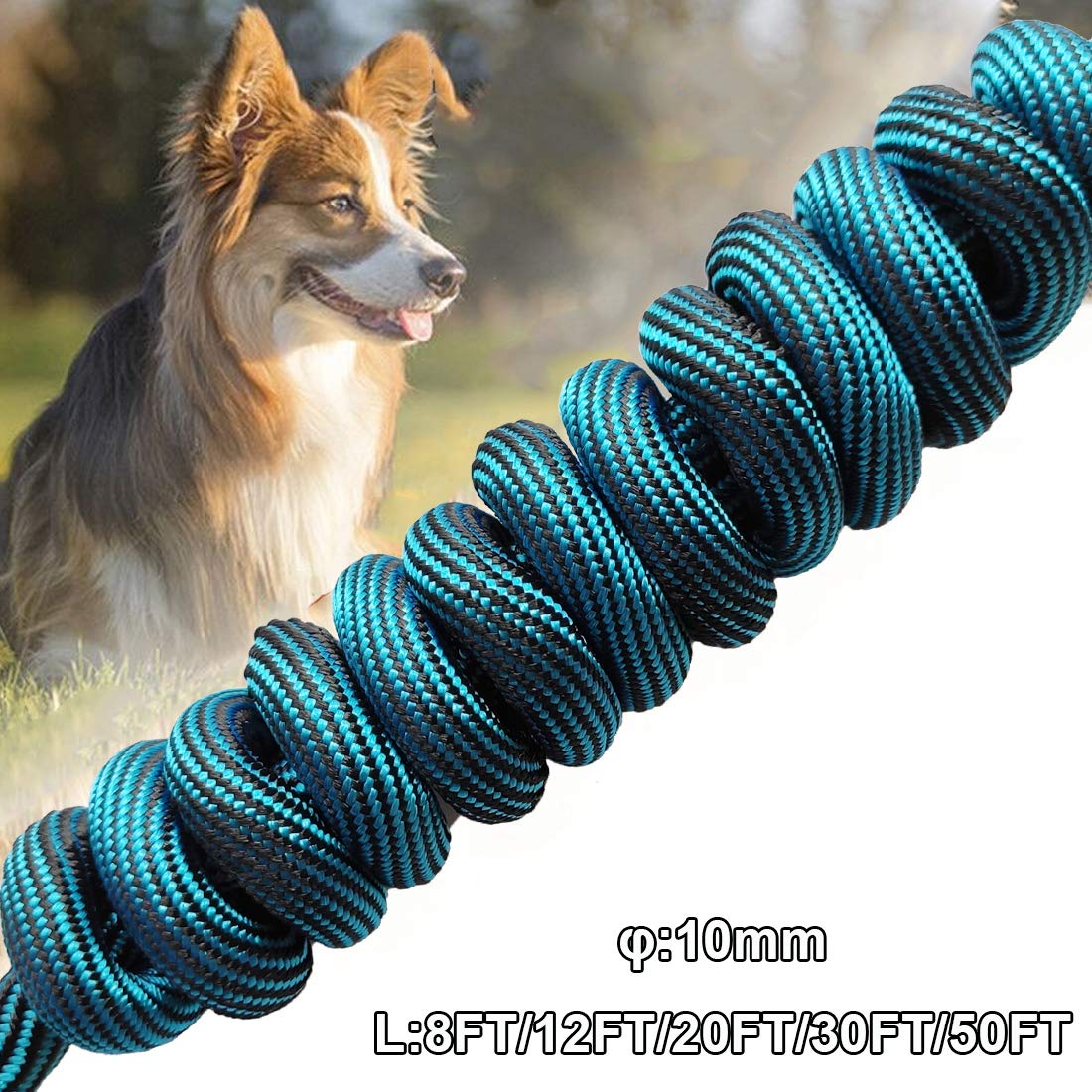 Btinesful Tie-Out Check Cord Long Rope Dog Leash, 8Ft 12Ft 20Ft 30Ft 50Ft Recall Training Lead Leash- Great For Large Medium Sma