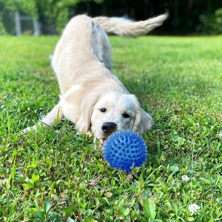 Cutie's PetBox Squeaky Rubber Spike Toy Ball for Medium/Large Dogs, 3.5 Inch, Blue, Made of Durable Thermoplastic Rubber