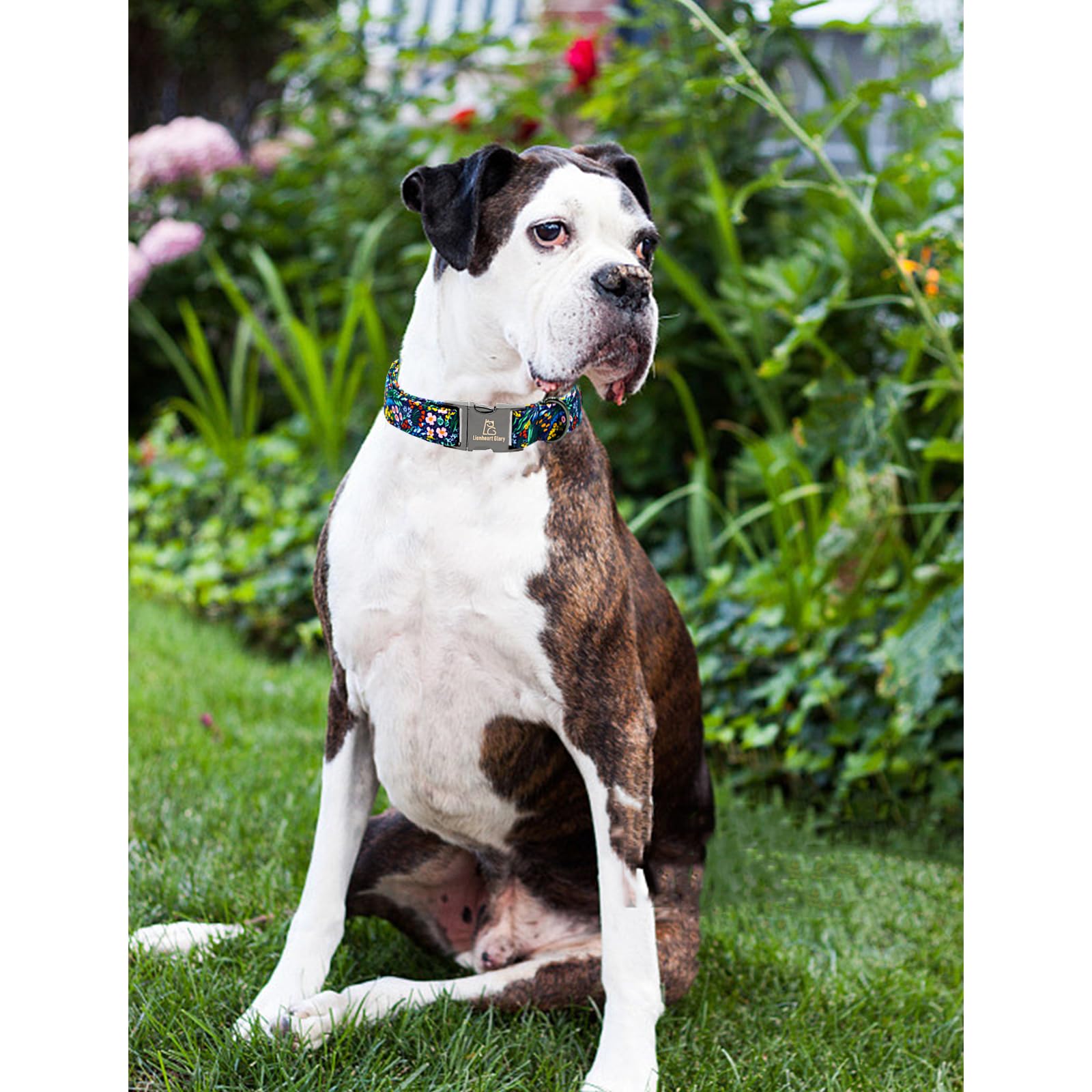 Lionheart Glory Dog Collar Darkblue Flower Print Dog Collars Floral Pet Collar Male Or Female Spring Fall Pet Gift Durable Adjus