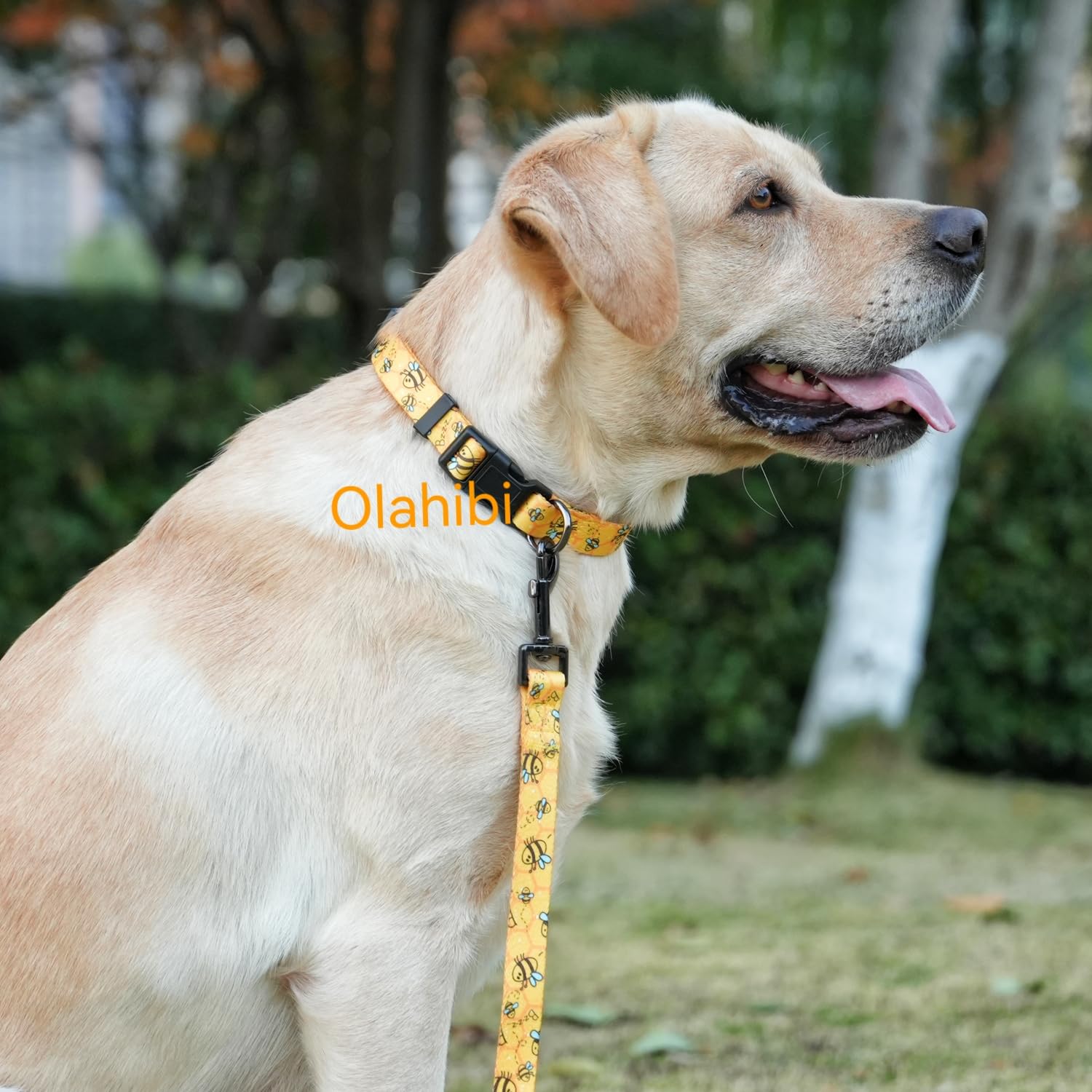 Olahibi Dog Collar Leash Set, Busy Bee Pattern, 5Ft Matching Leash, Polyester Material, 4 For Small Medium Large Dogs.(L, Bee)