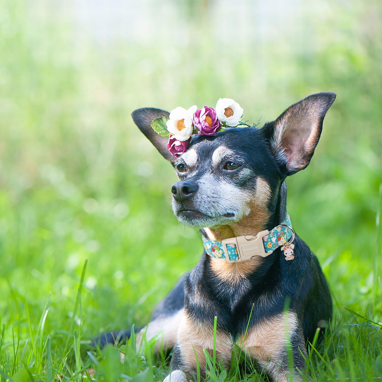 Dogwong Cute Flower Bunny Eggs Easter Dog Collar - Pink, Adjustable For Medium & Large Dogs