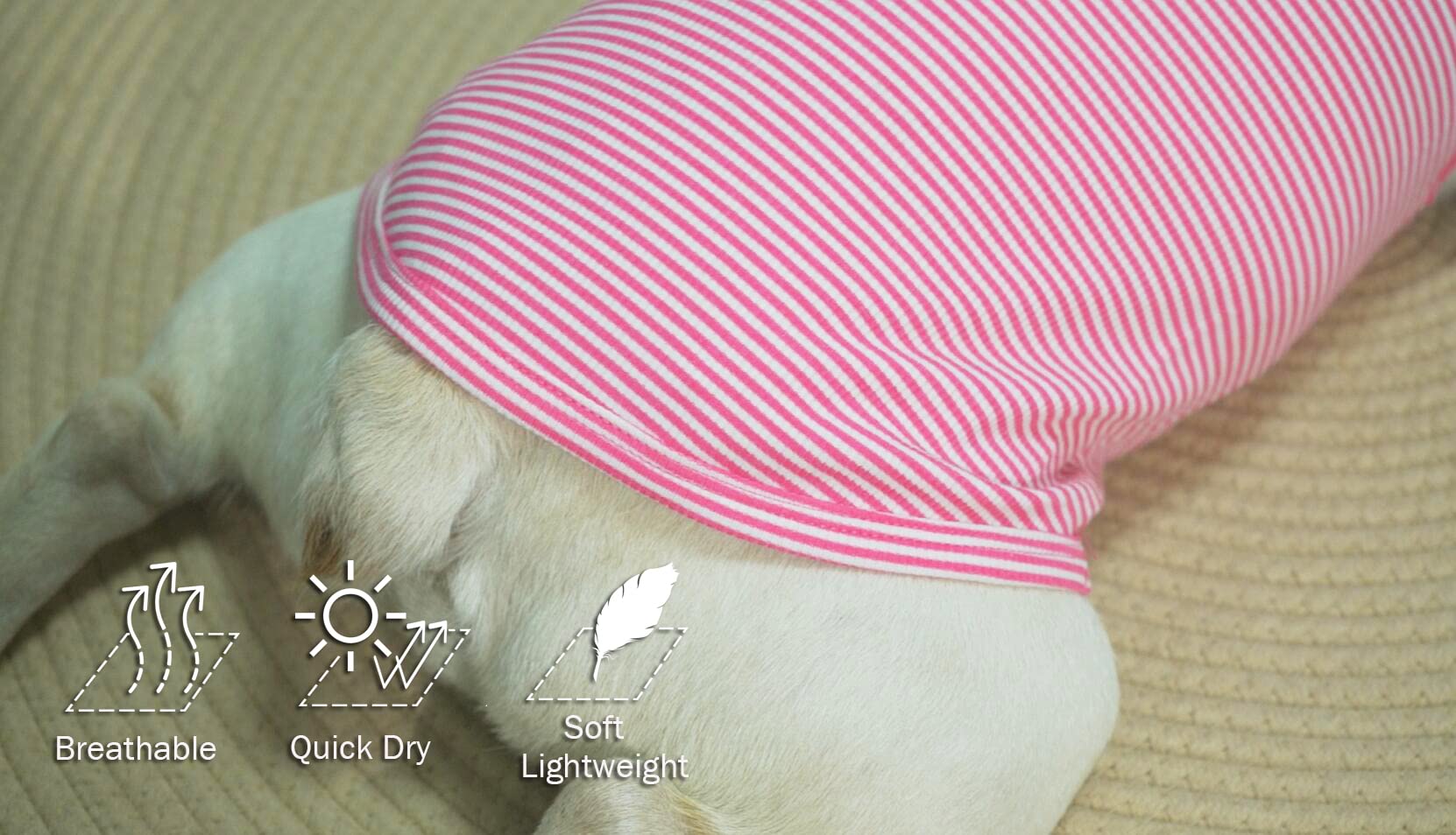 Sychien Dog Shirt,Combed Cotton T-Shirts,Soft Cool Boy Girl Tee For Medium Dogs French Bulldog,Pink Rose Striped M