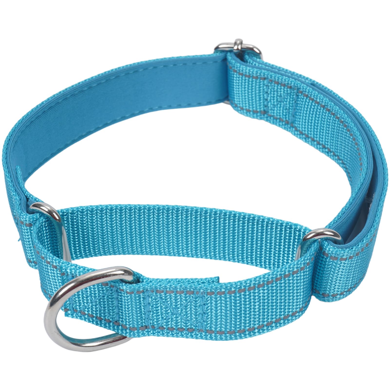 SGODA Martingale Dog Collar, Reflective Nylon Padded Dog Training Collars for Medium Dogs, Blue M