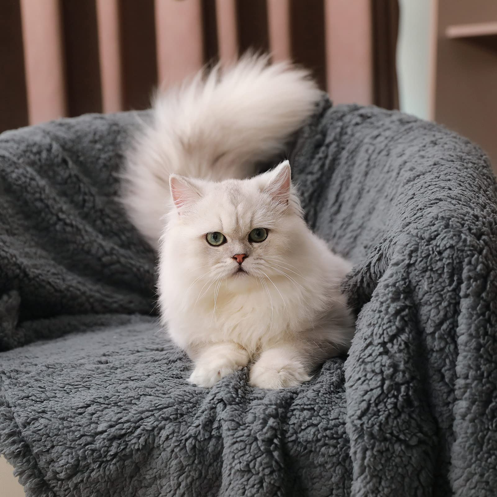 1 Pack 3 Calming Blankets Fluffy Premium Fleece Pet Blanket Soft Sherpa Throw For Dog Puppy Cat Grey Small (23' X16'')