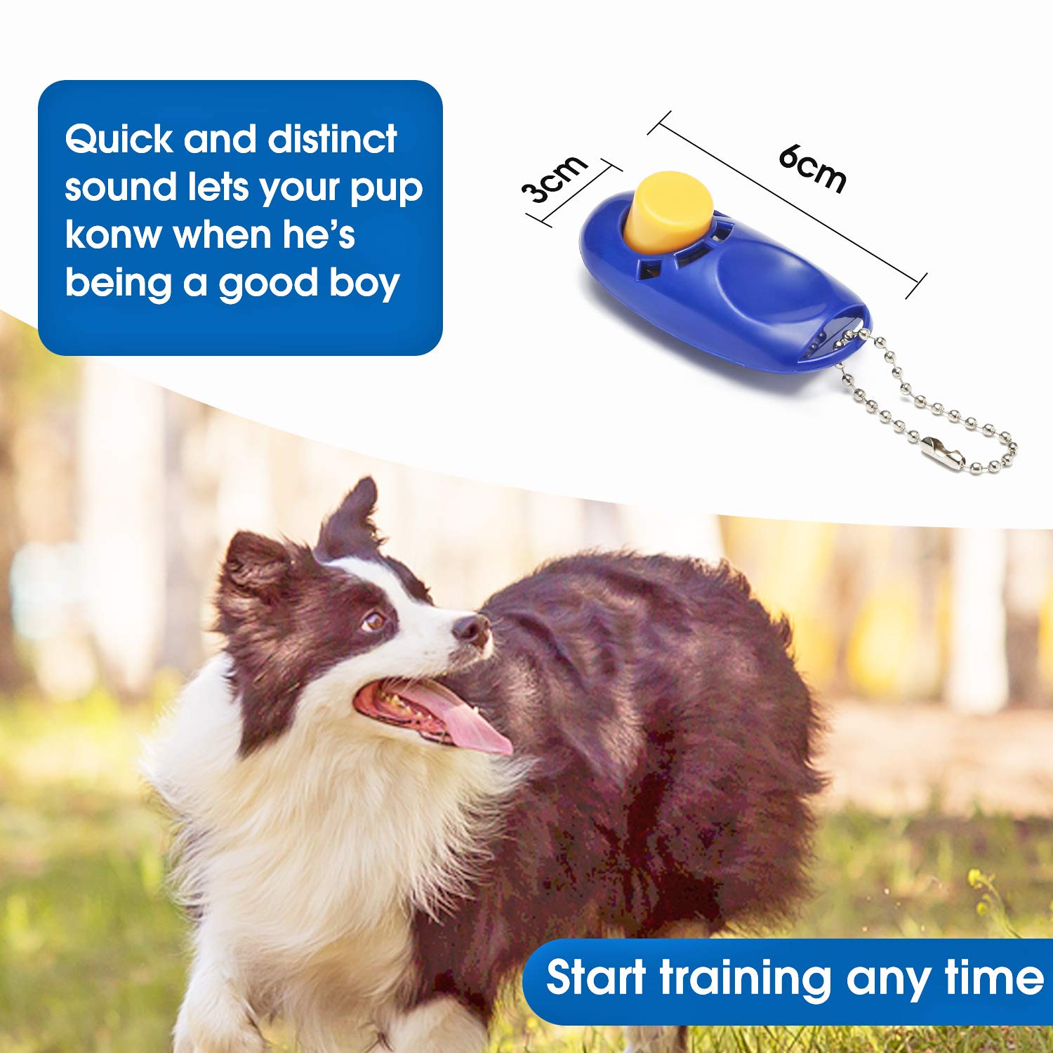 Baapet 15/20/30/50/100 Ft Long Dog Training Leash With Clickers For Small, Medium And Large Dogs Or Cats (100 Feet, Blue)