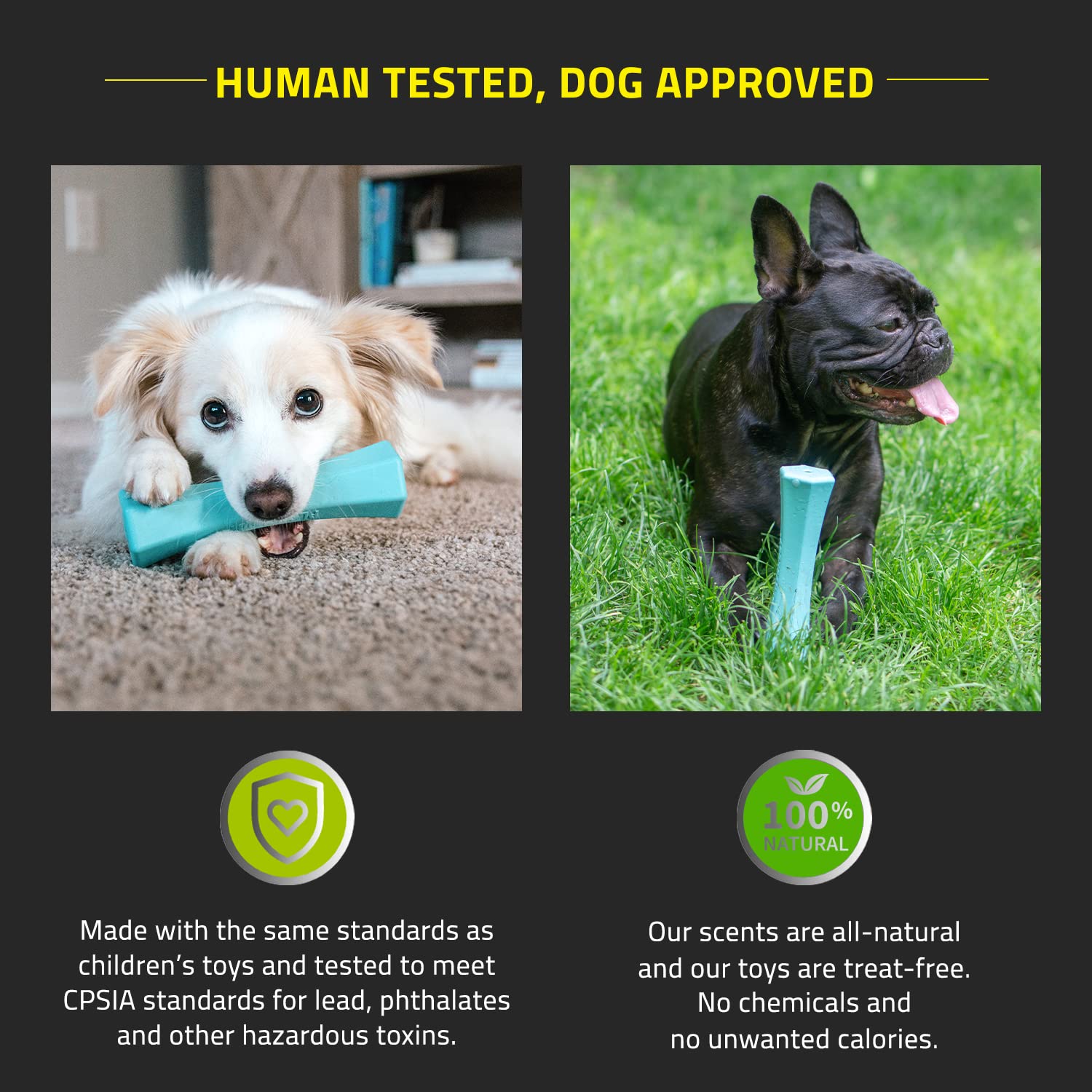 Playology Squeaky Chew Stick Dog Toy for Large Dogs - Peanut Butter Scented, Non-Toxic Rubber, Ideal for Moderate Chewers